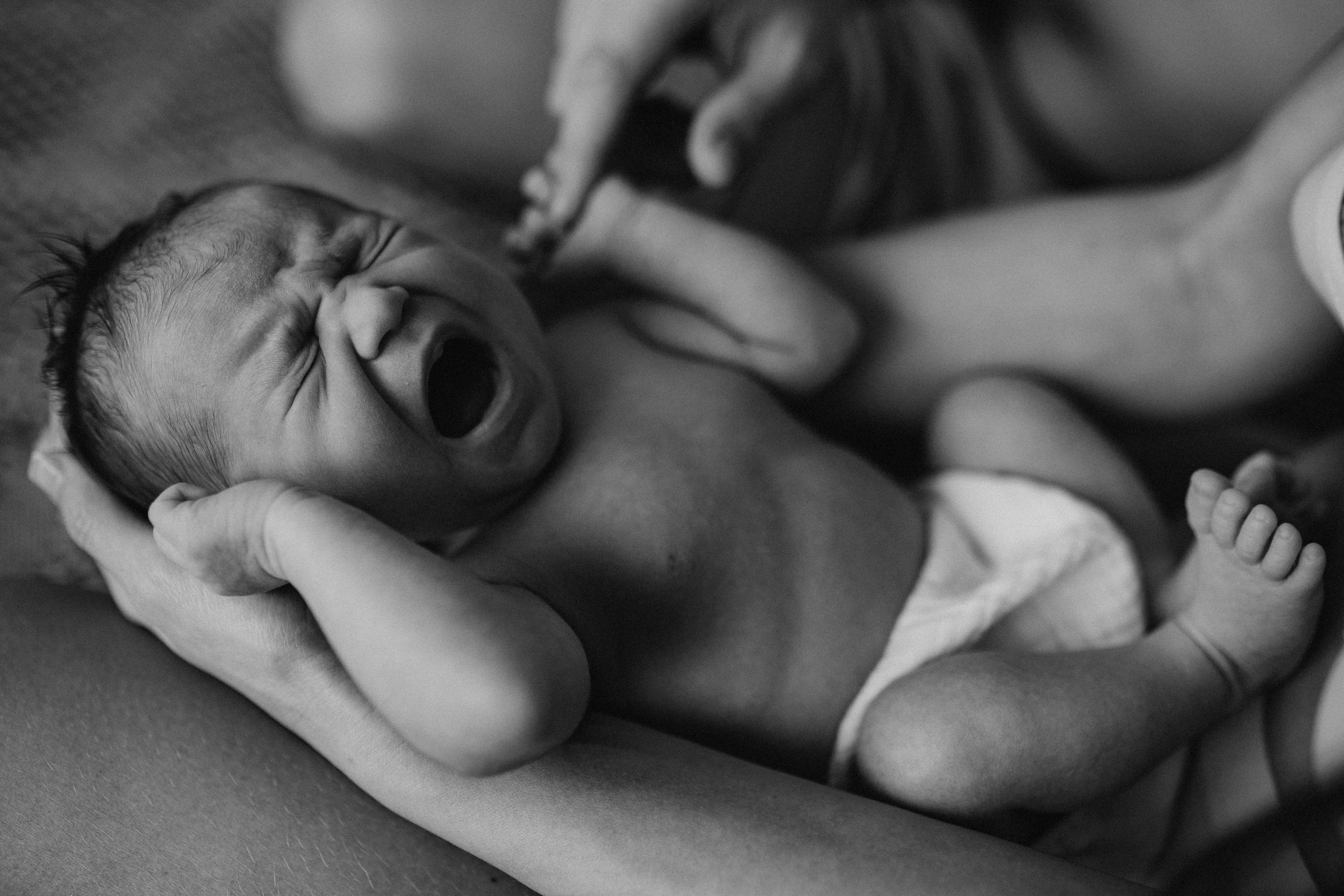 Luna 7 days. Fotografa de família e crianças em Florianópolis SC Daria Ermolaev