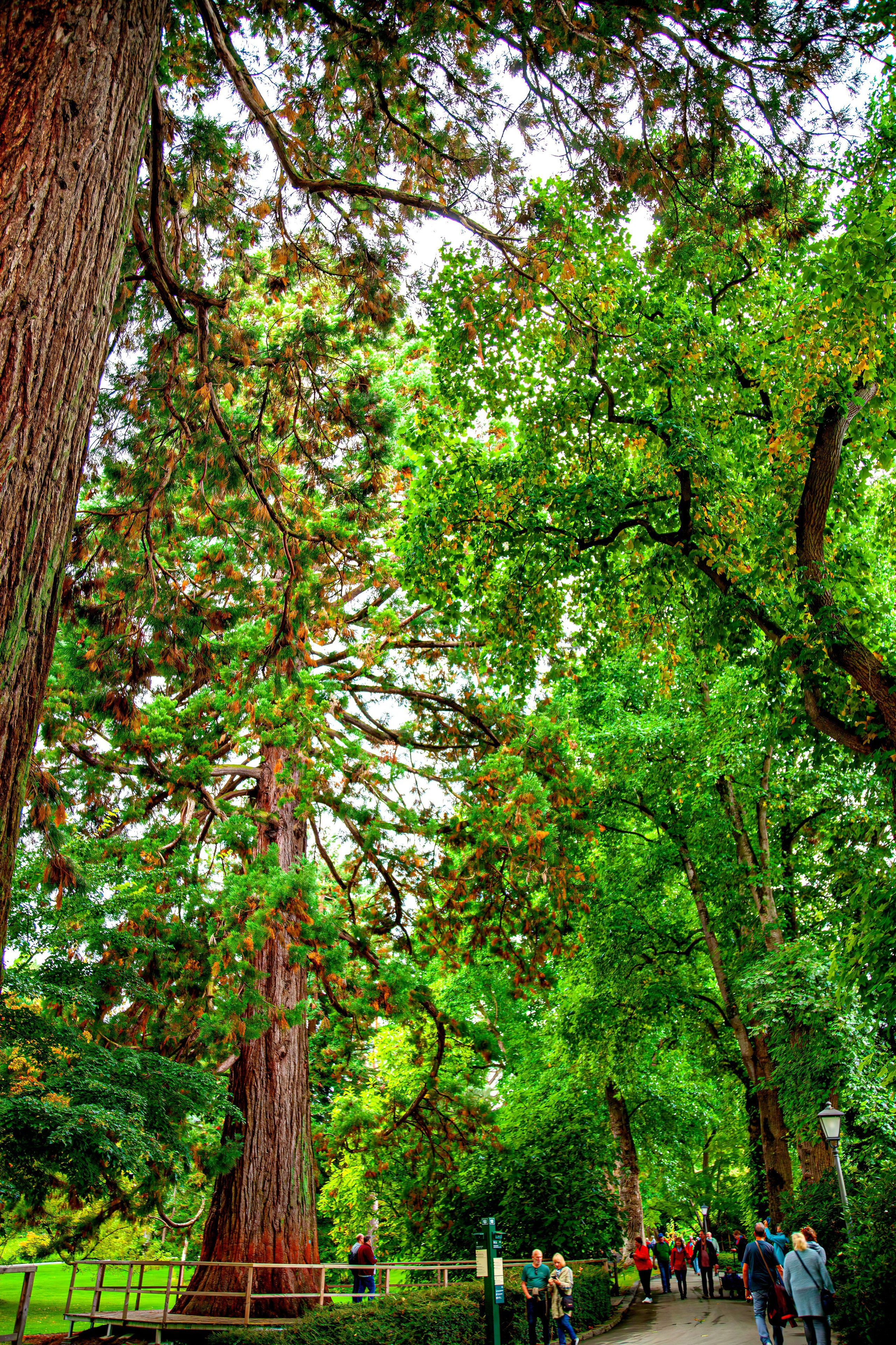 187.Mainau.Germany.24.9.2024. Путешествия в формате 360......