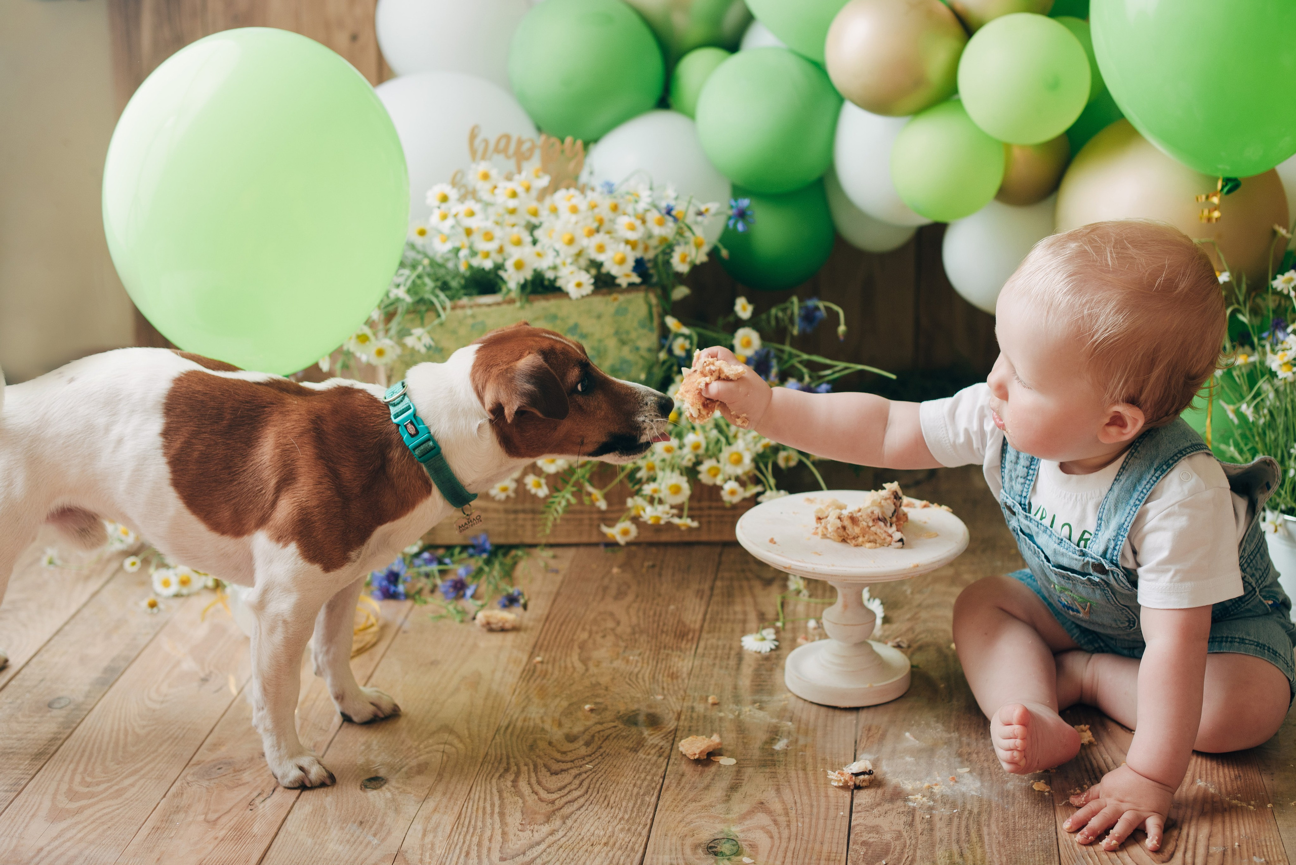 SVYATOSLAV. Https://newbornphoto.wfolio.pro/me