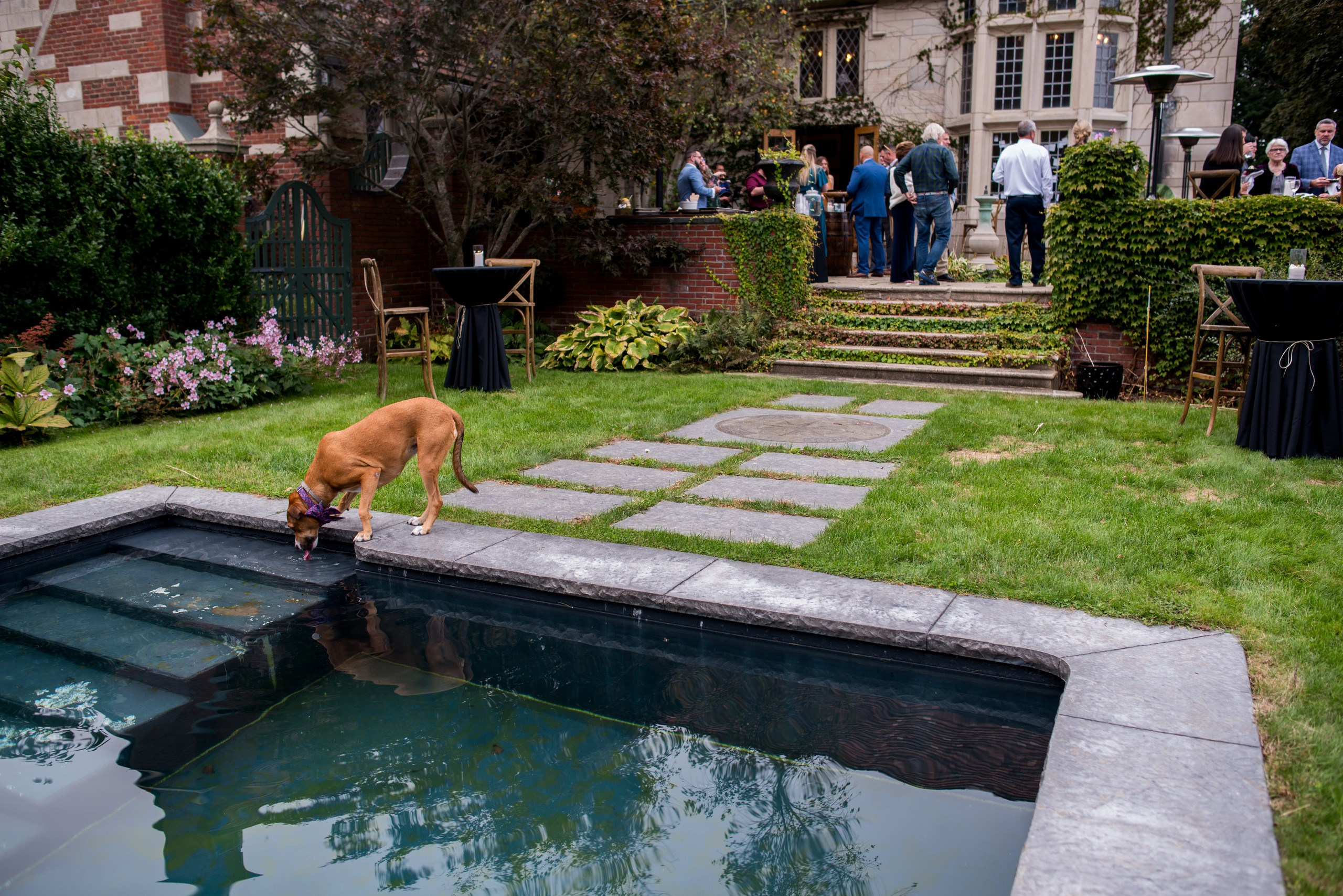 C + A. Wedding photographer in Orlando, Boston & New York Anderson Marques