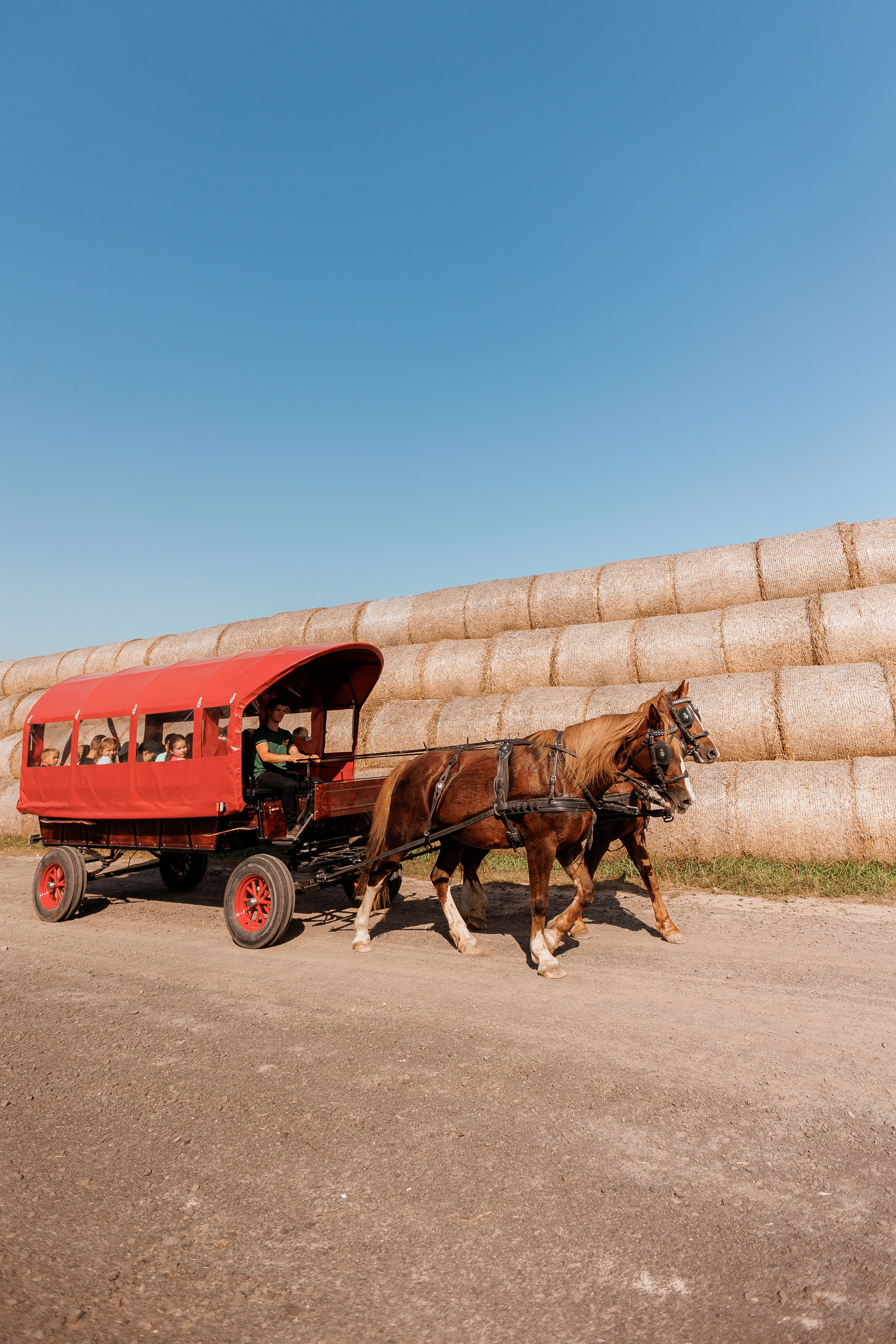 Екопарк Аміла. Ірина Терещук