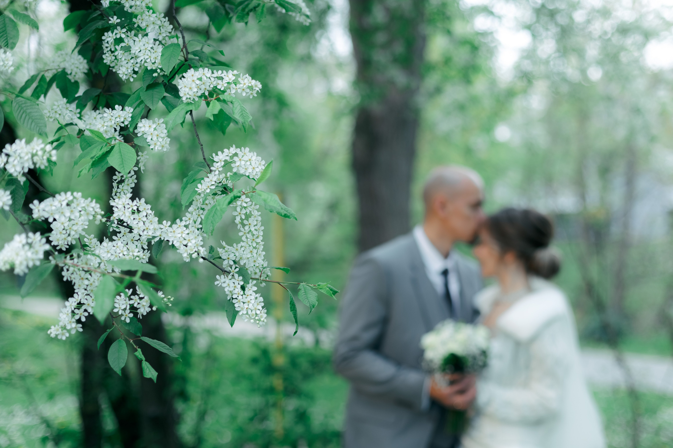 Hochzeitfotografie in Walldürn. Fotograf für Hochzeits- und Familienfotos in Buchen (Odenwald) Mosbach