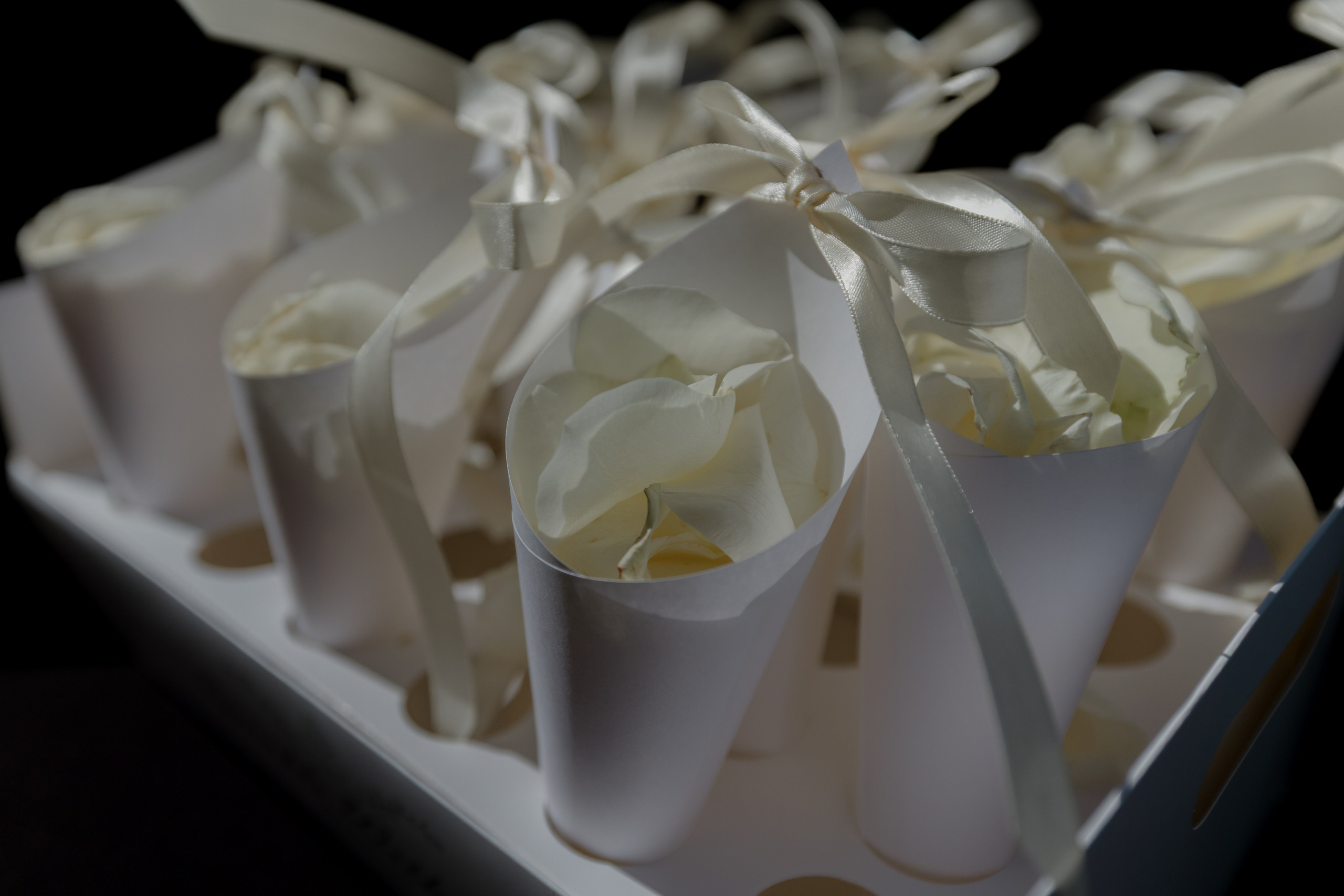 Dorian & Andreea Popa. Emotions Photo Art