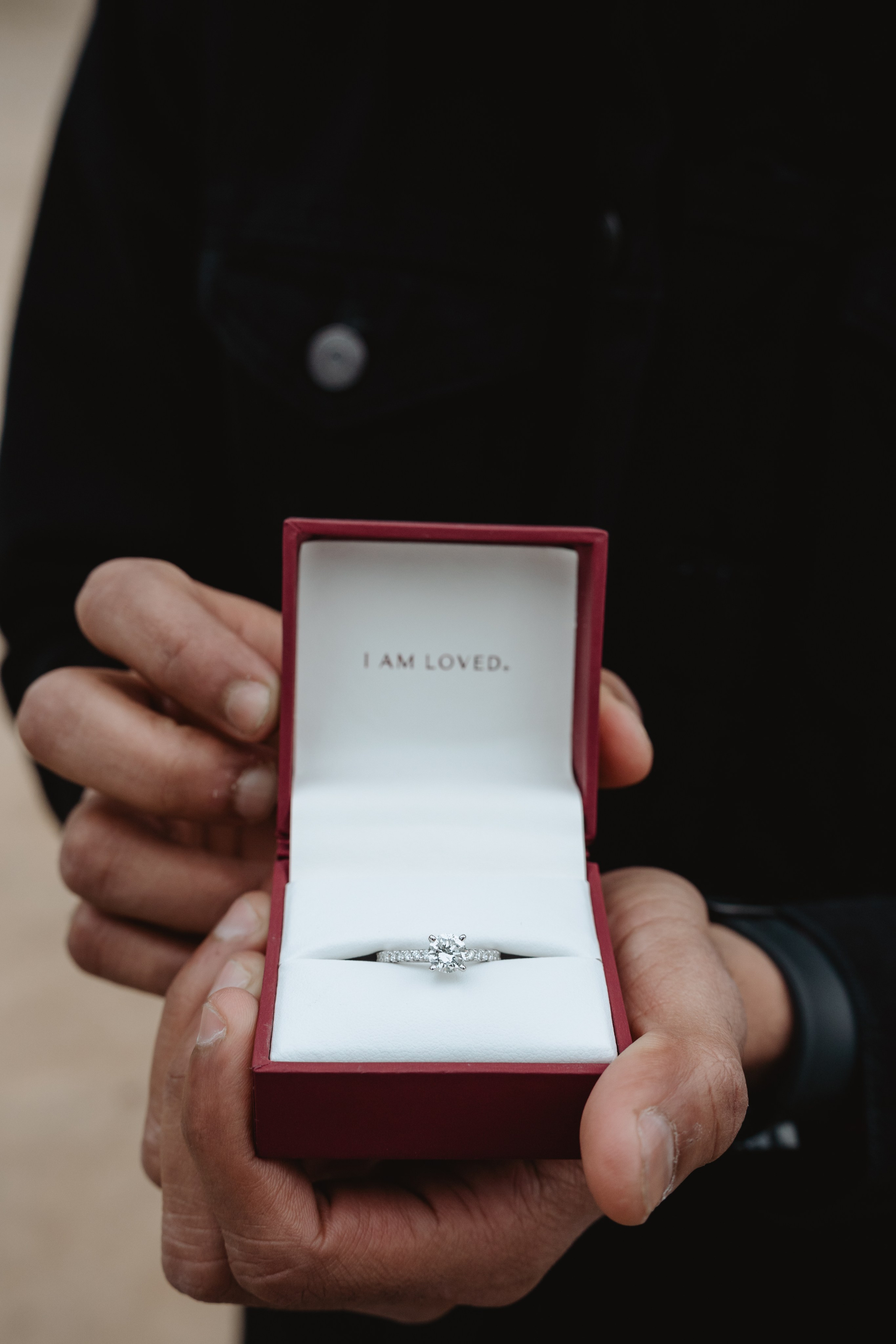 Sarthak&Aishwarya Proposal. Photographer in New York Faery By Mary