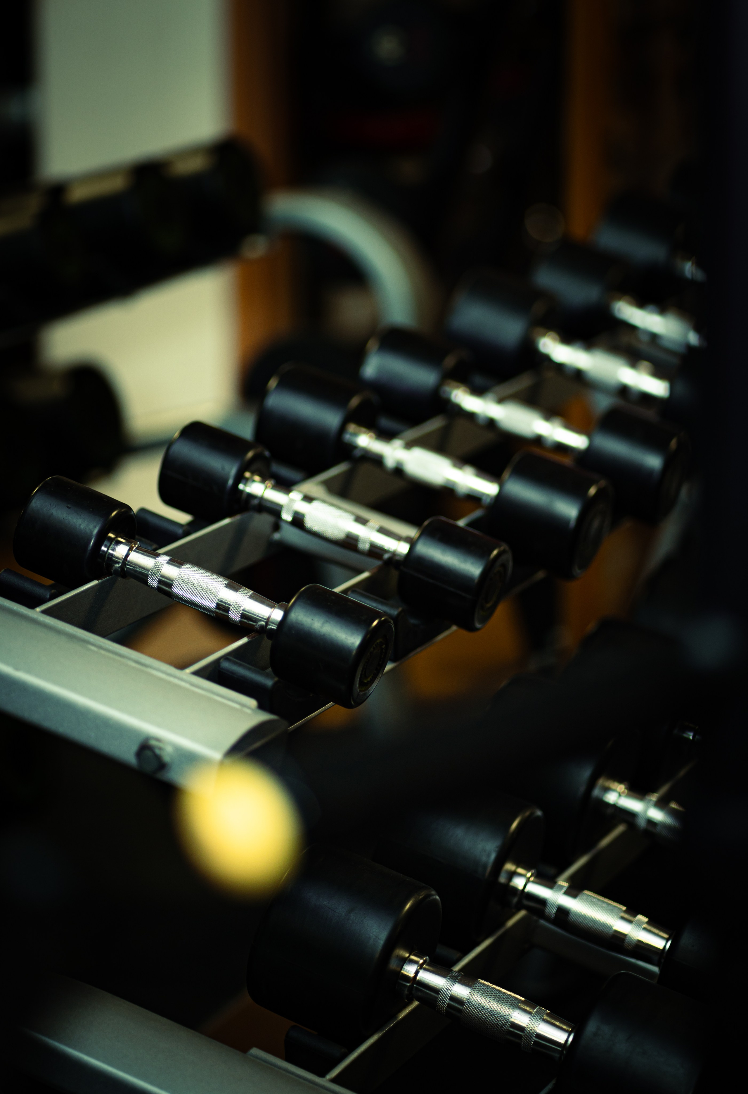 ABEL´S TEAM. Baby Beast