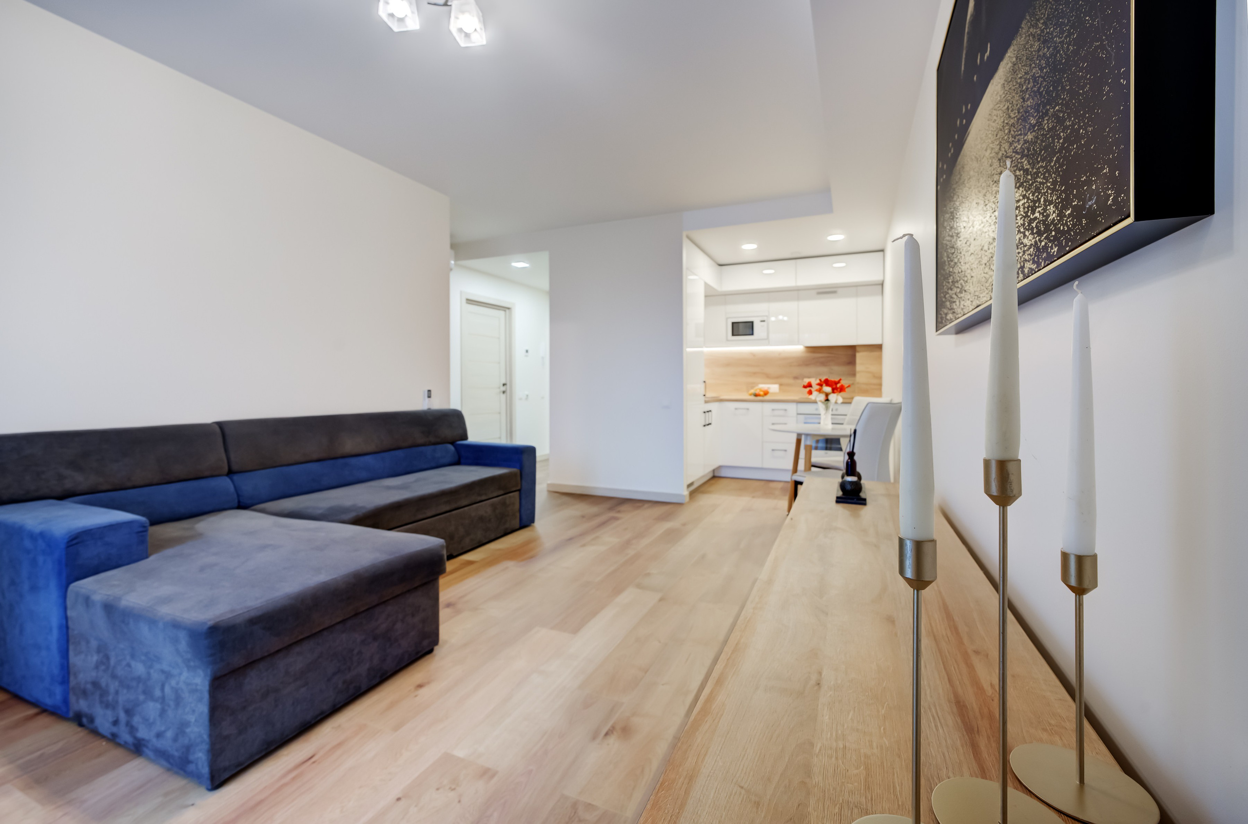 2-jų kambarių buto svetainė. Nuotrauka. Fotografė - sapiegafoto.lt