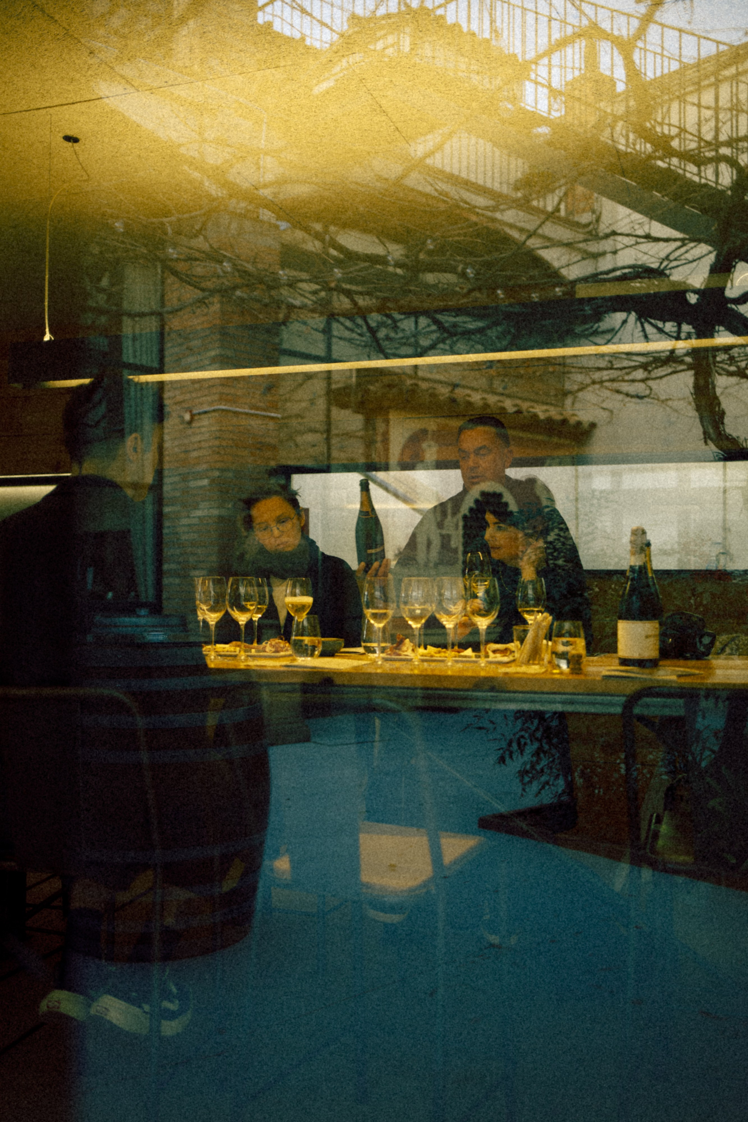 My birthday trip to the winery. Marina Kálcheva — Photographer, Videographer & Visual Artist in Barcelona