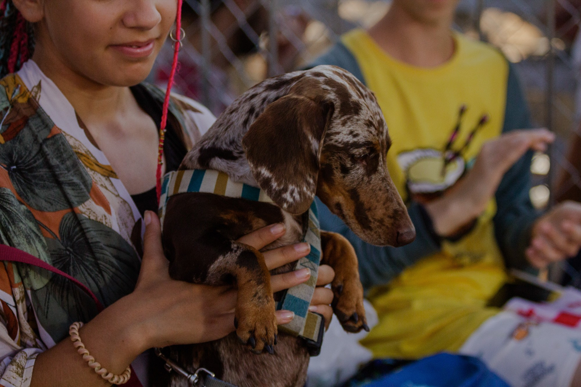 Beach. Stanislava Novgorodtseva — Photographer | Visual Artist | Educator