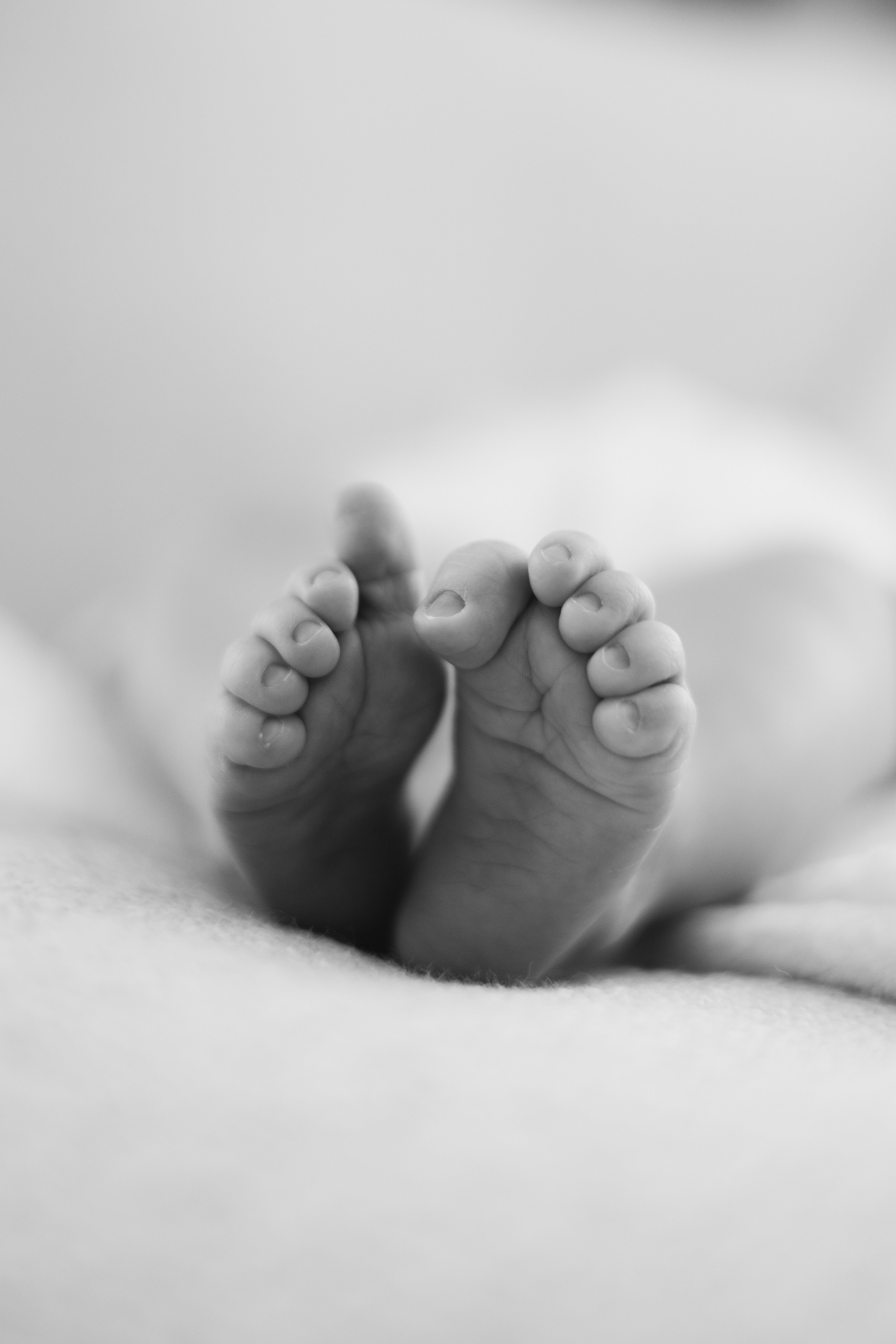 Lena Fedorov Photography — maternity, newborn, family, birth & beauty in Boca Raton, South Florida