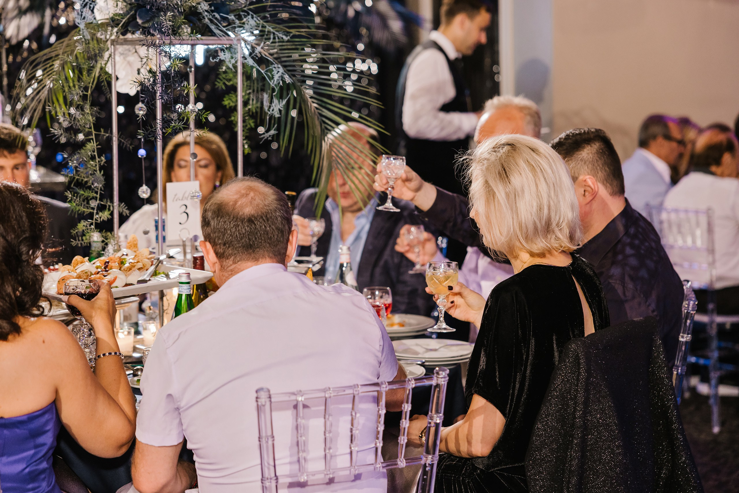 06.28.25 Birthday Party. Wedding family event photographer in Chicago Nick Yushevich