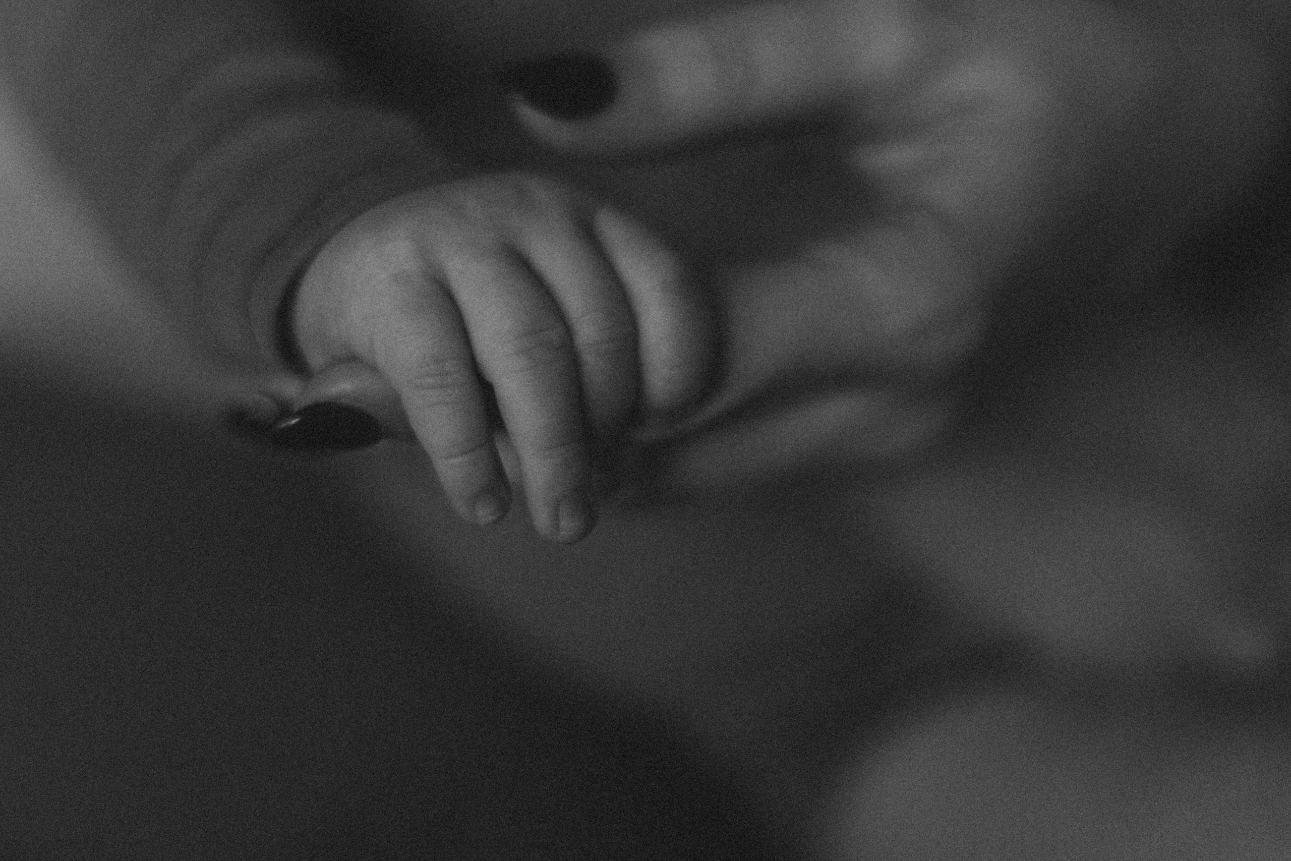 LĪVAS ģimene. GALVENĀ