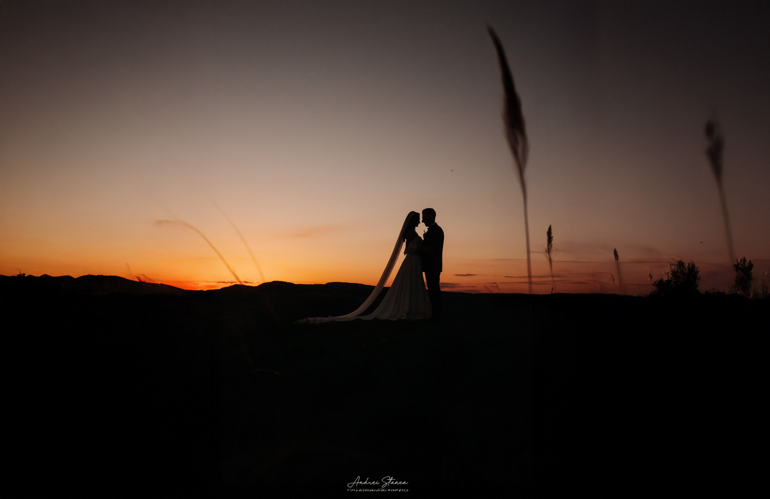 Adela & Catalin. Andrei Stanea