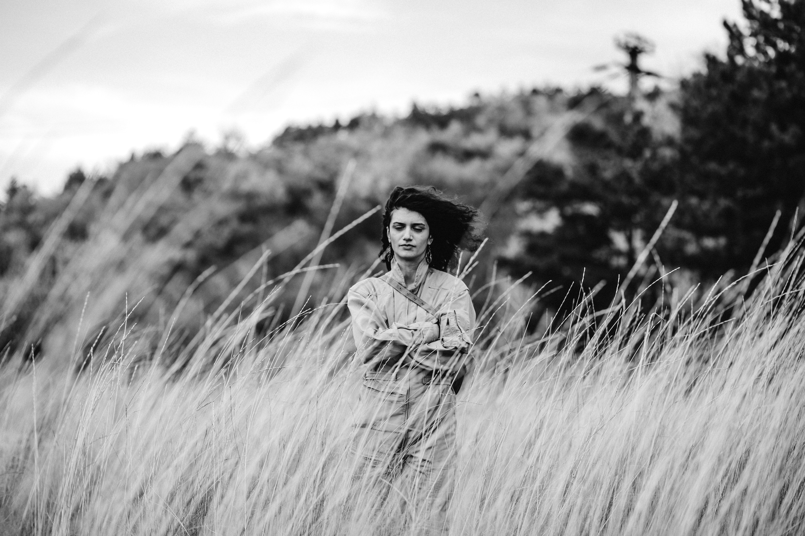 Elena. Hornetart
