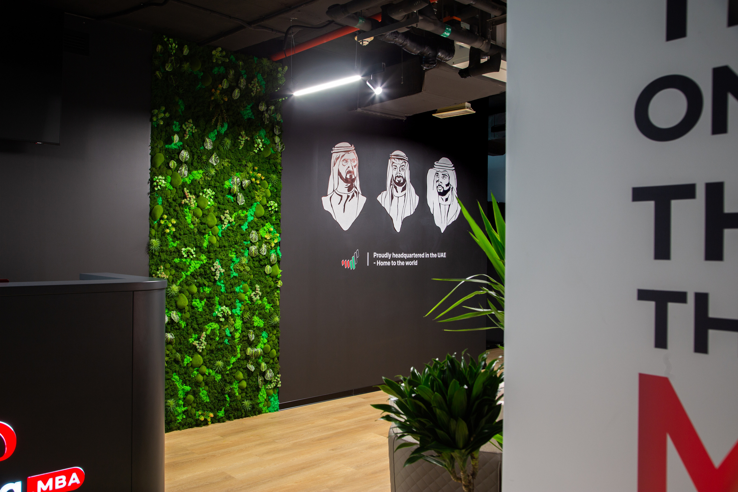 Wall painting. Professional Artist, teacher of art, Artistic Photographer In Dubai (U