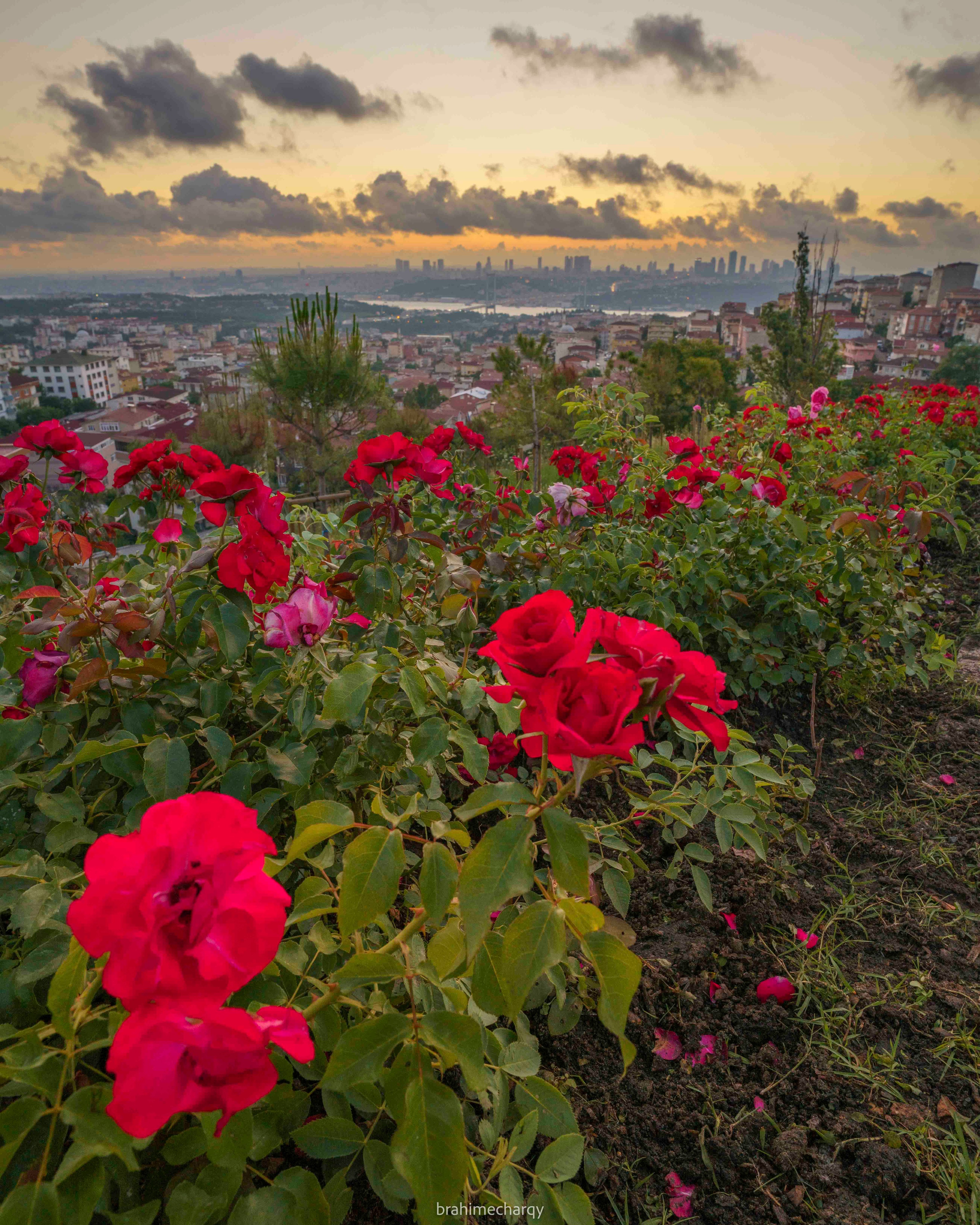 Фото. Брахим — фотограф