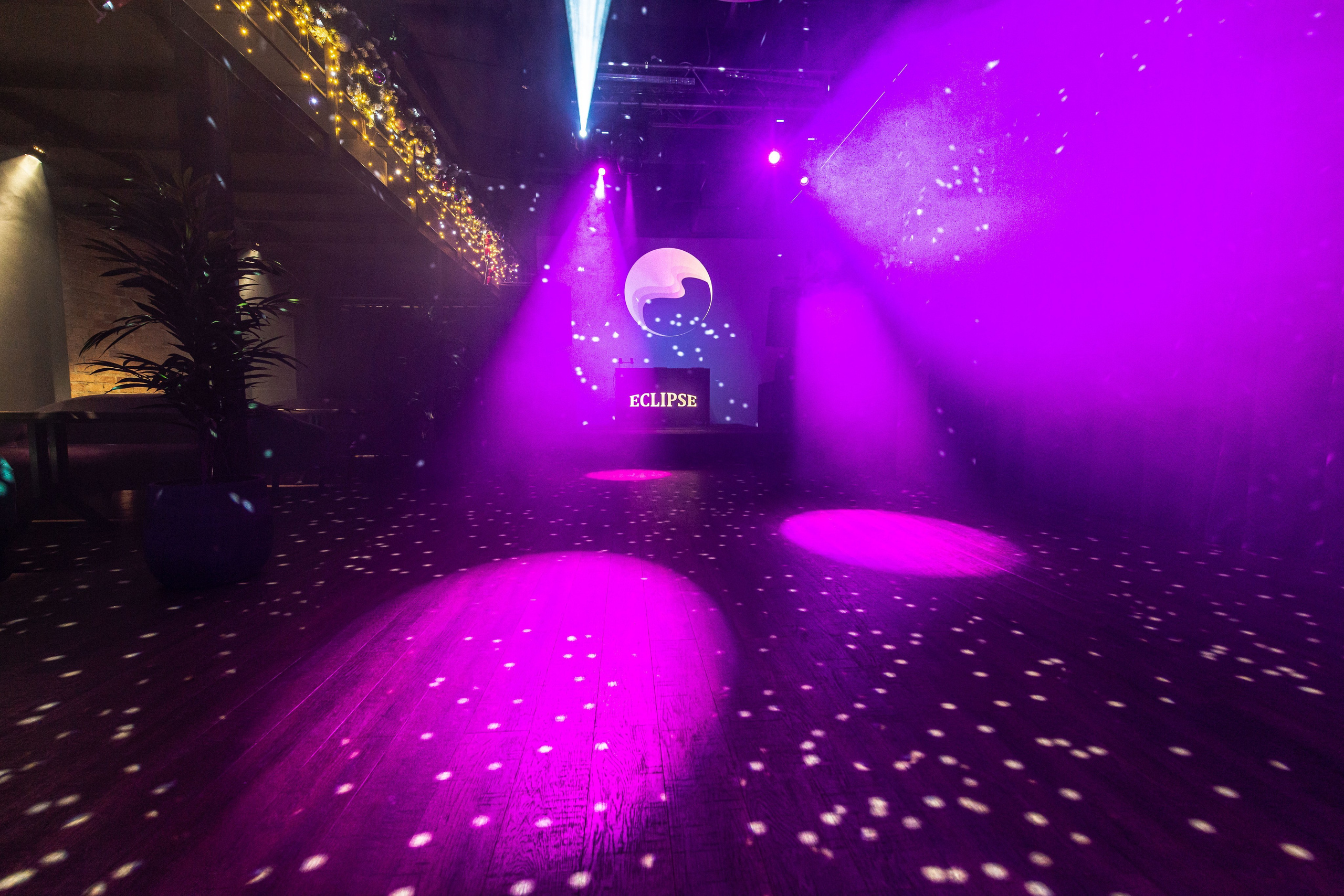 Reviews. PHOTOGRAPHER QUINTANA ROO