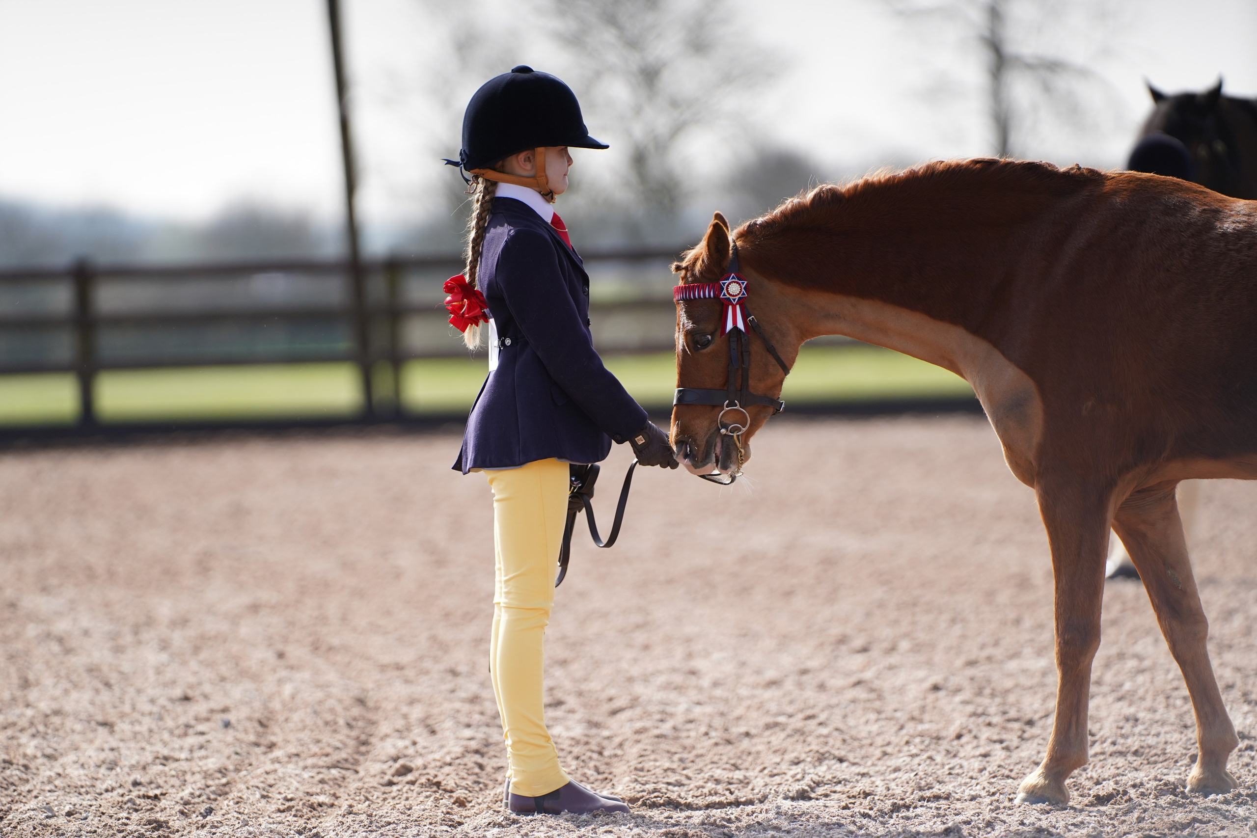 Showing. Leicestershire Equine Photography by El | Authentic Equine Portraits & Events
