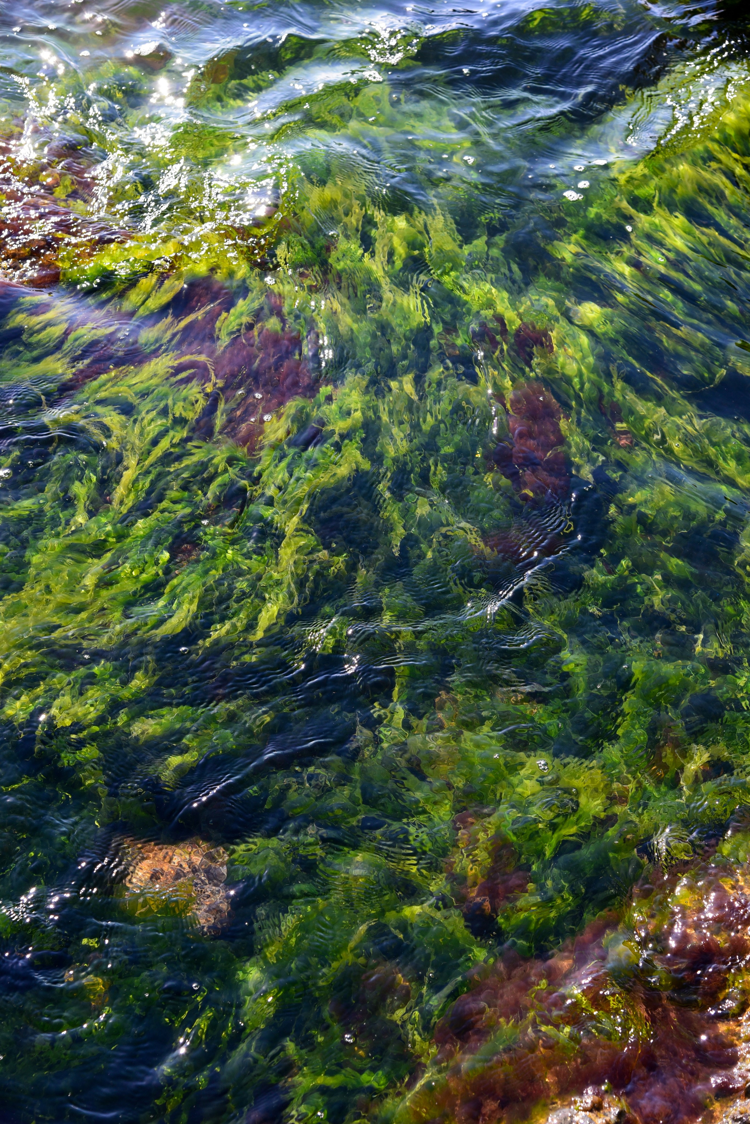 More More. Katerina Kiper Photography