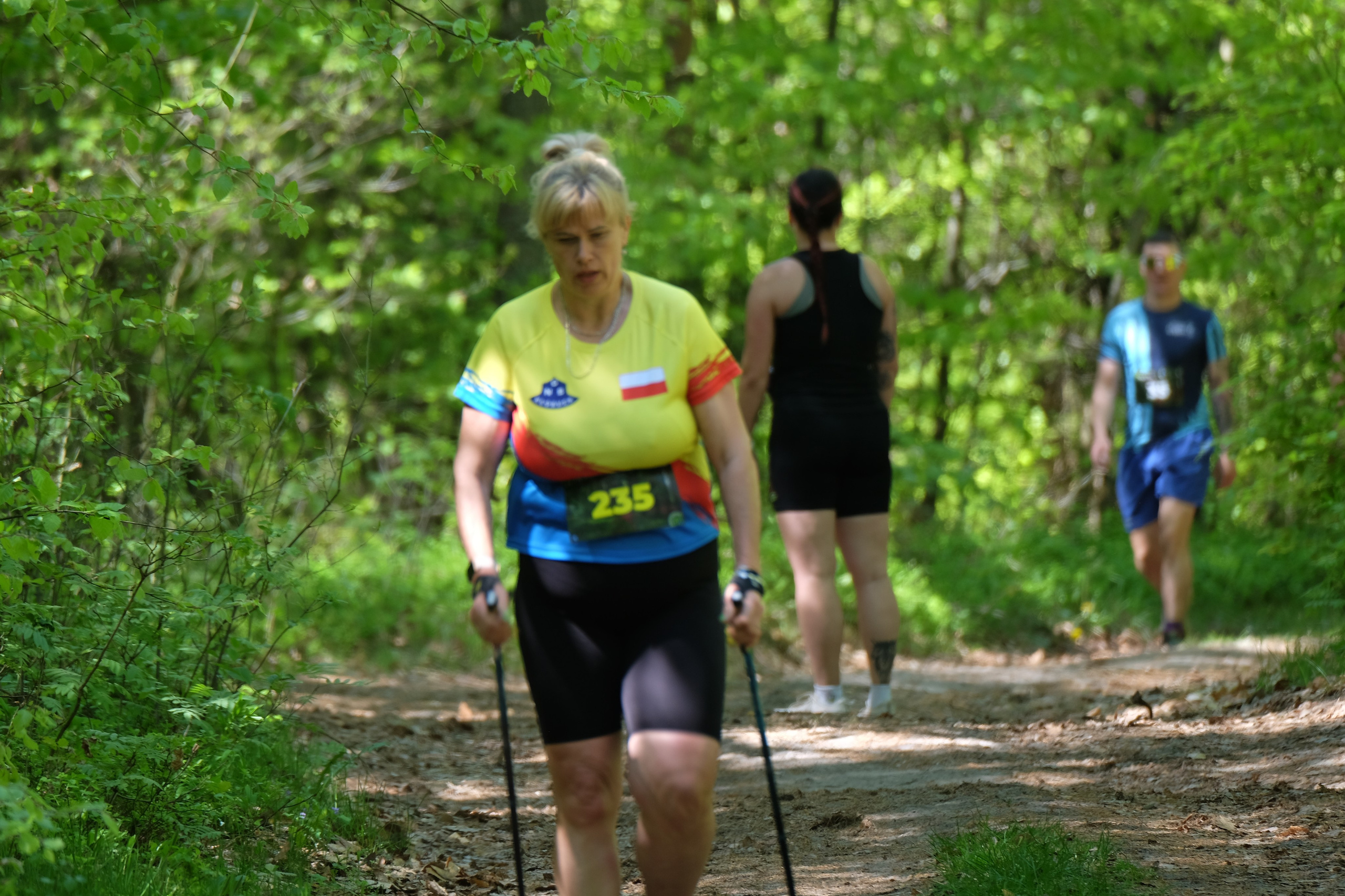 Aleksandryjska Piątka po lesie. Main