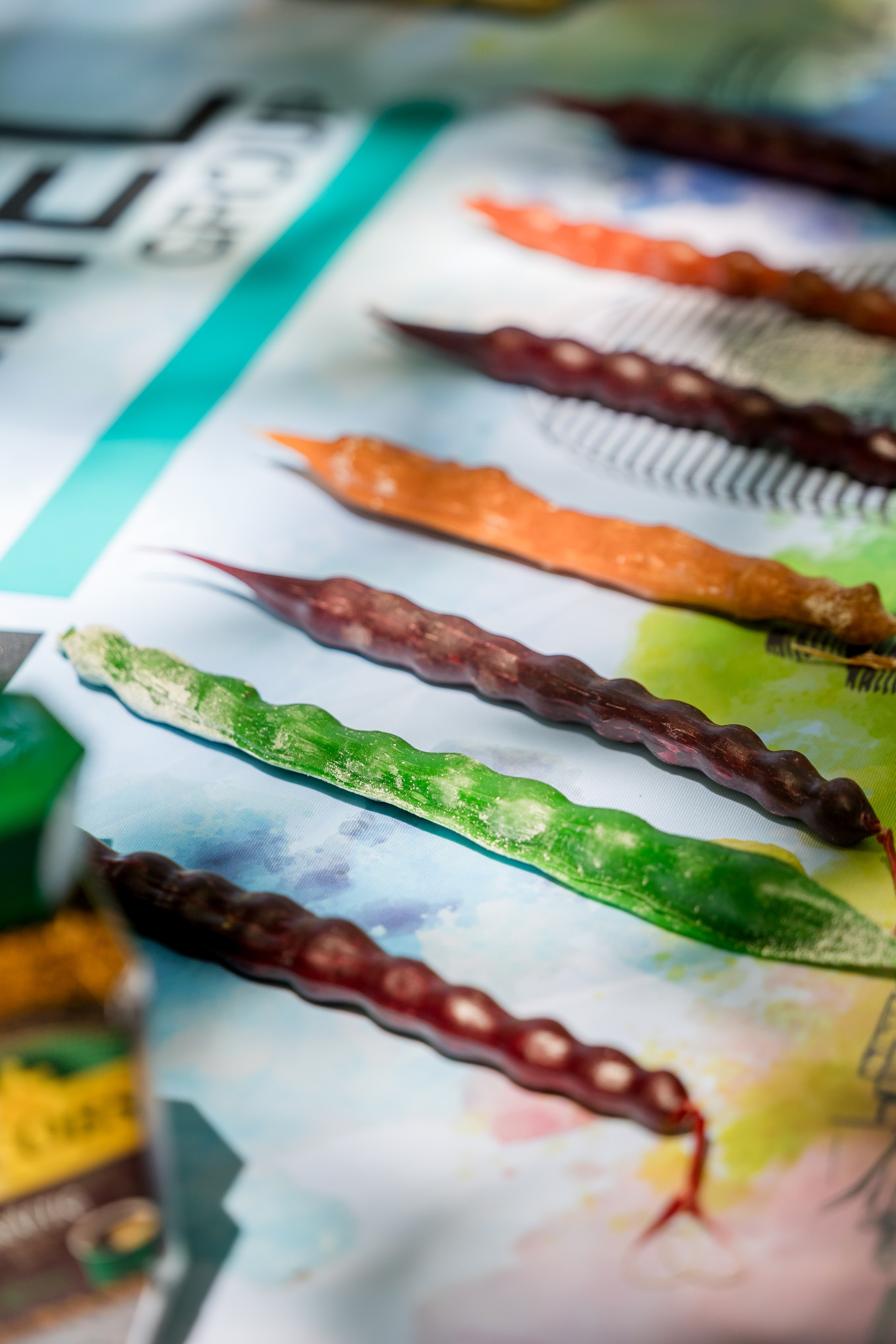 Barel Corporation — Batumi Georgia. AMIR BUCHNIK PHOTOGRAPHER