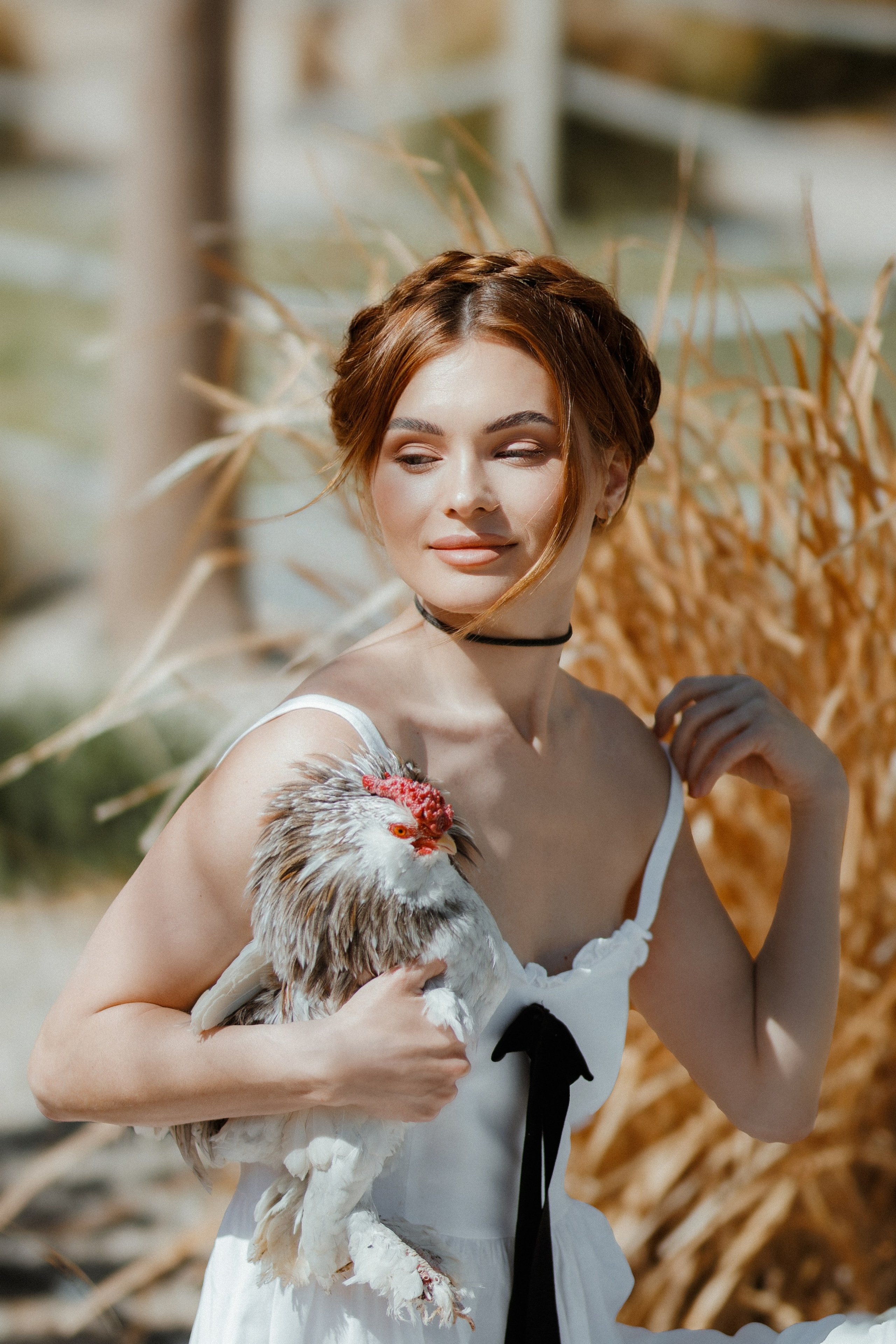 Курица. Фотосессия с курицей. Фото с курицей. Kemer Butiq garden. Локации в Кемере. красивые Локации в Кемере.Локации в Кемере для фотосессии. Локации в Кемере с курицей. Локации в Кемере турция.