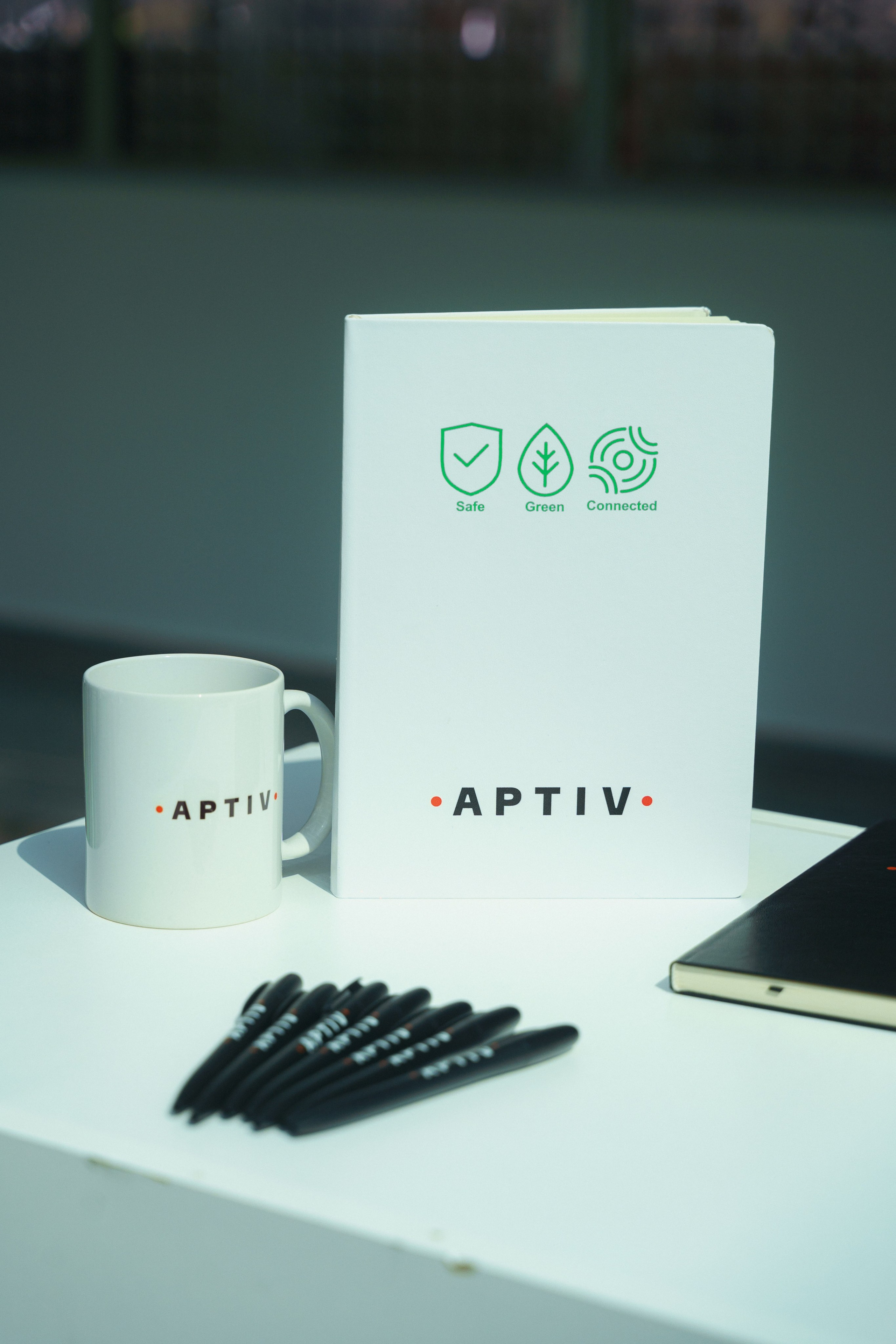 EV Days in Novi Sad 2023. Zhukov studio