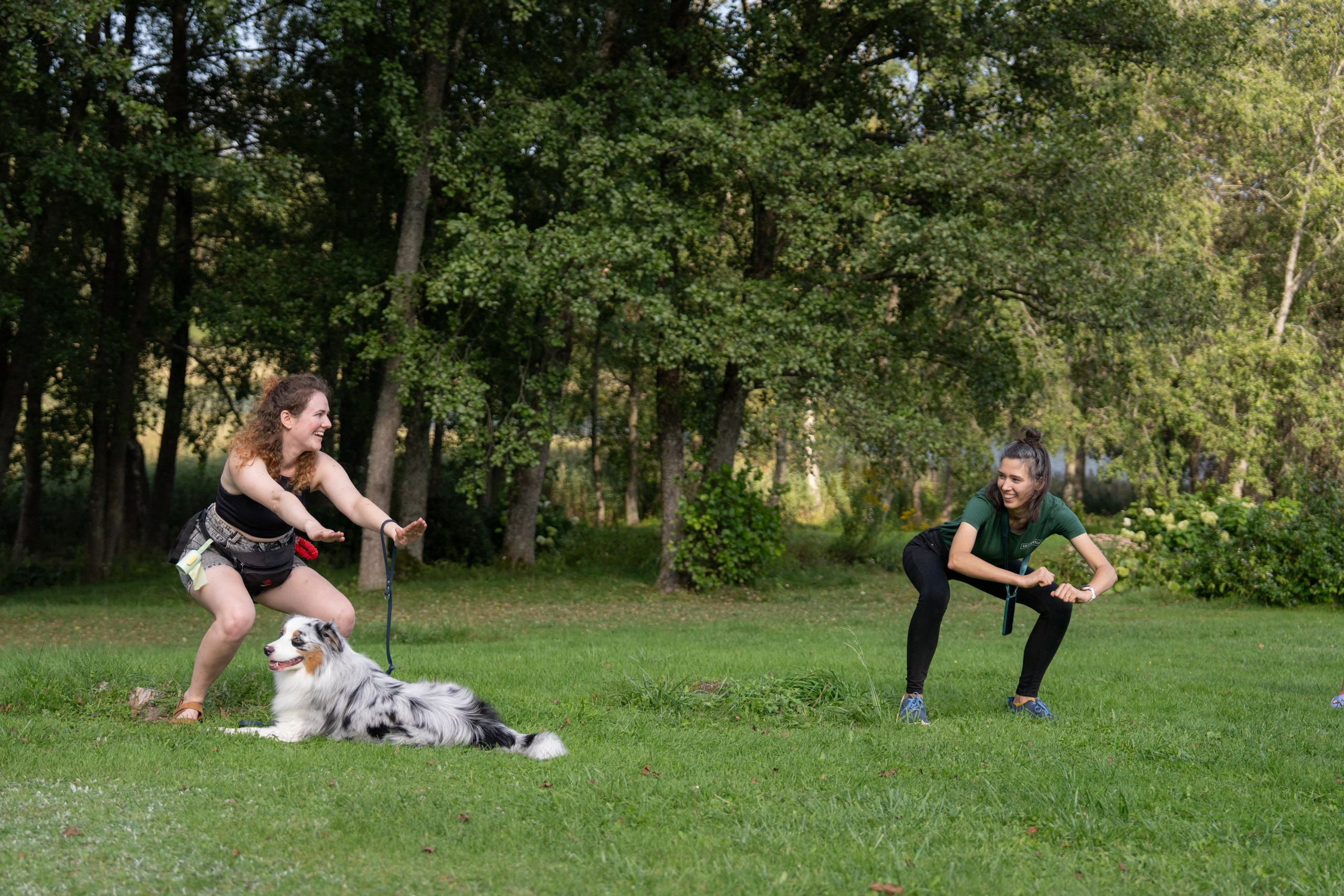 Heppi Dogo fest 2025. Vita Klimaševska ○ Fluffy Soulmate Photography
