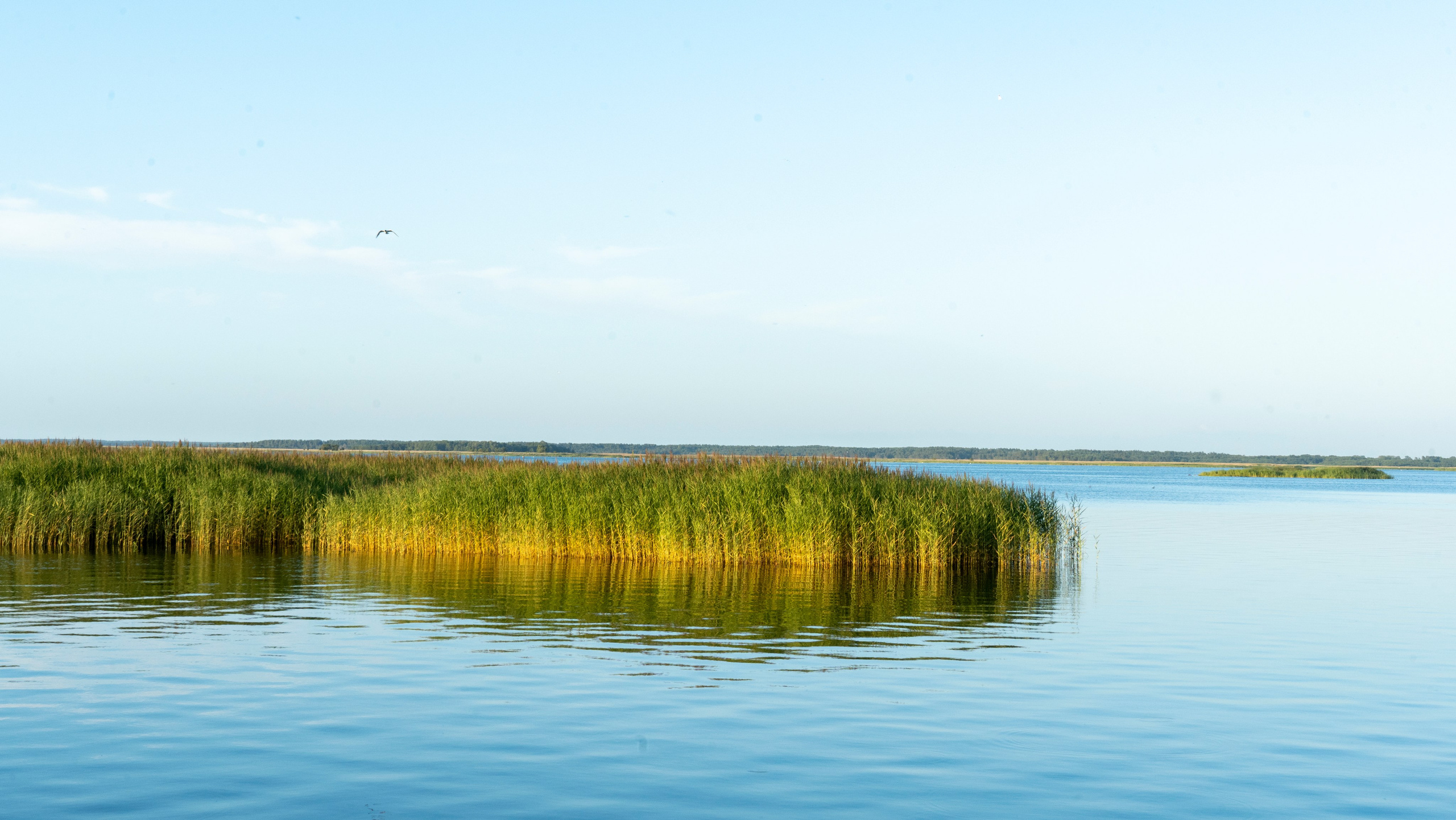 Whispers of Estonia. Photography | Videography | Marketing