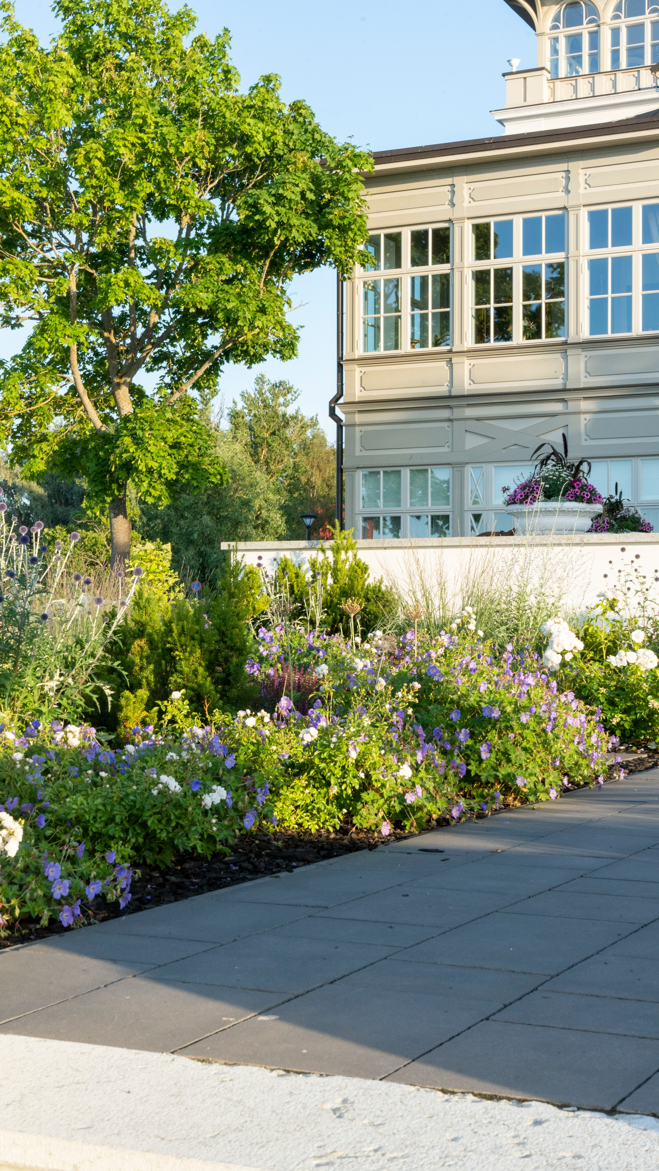 Whispers of Estonia. Photography | Videography | Marketing