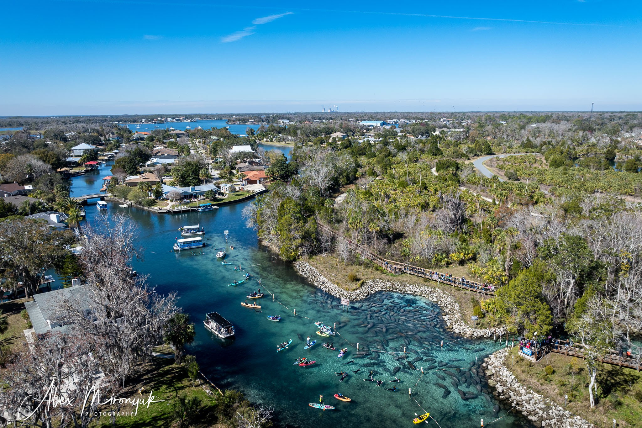 Exploring True Florida: Springs, Rivers & Manatees by Canoe. Pet, Senior, Landscape, portrait studio, photographer in Miami and Sou