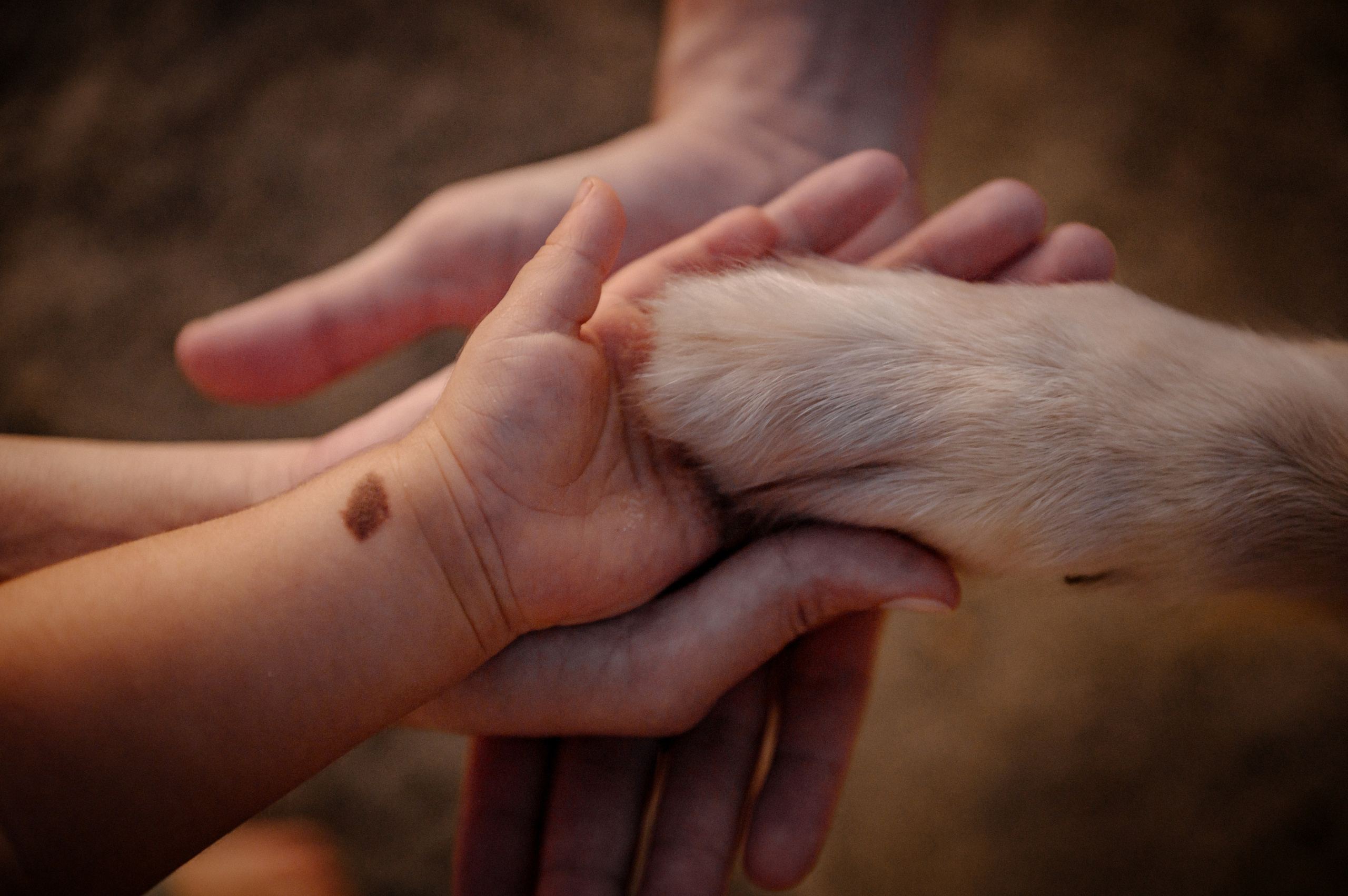 Gestar Eric. Água Carmim Fotografia