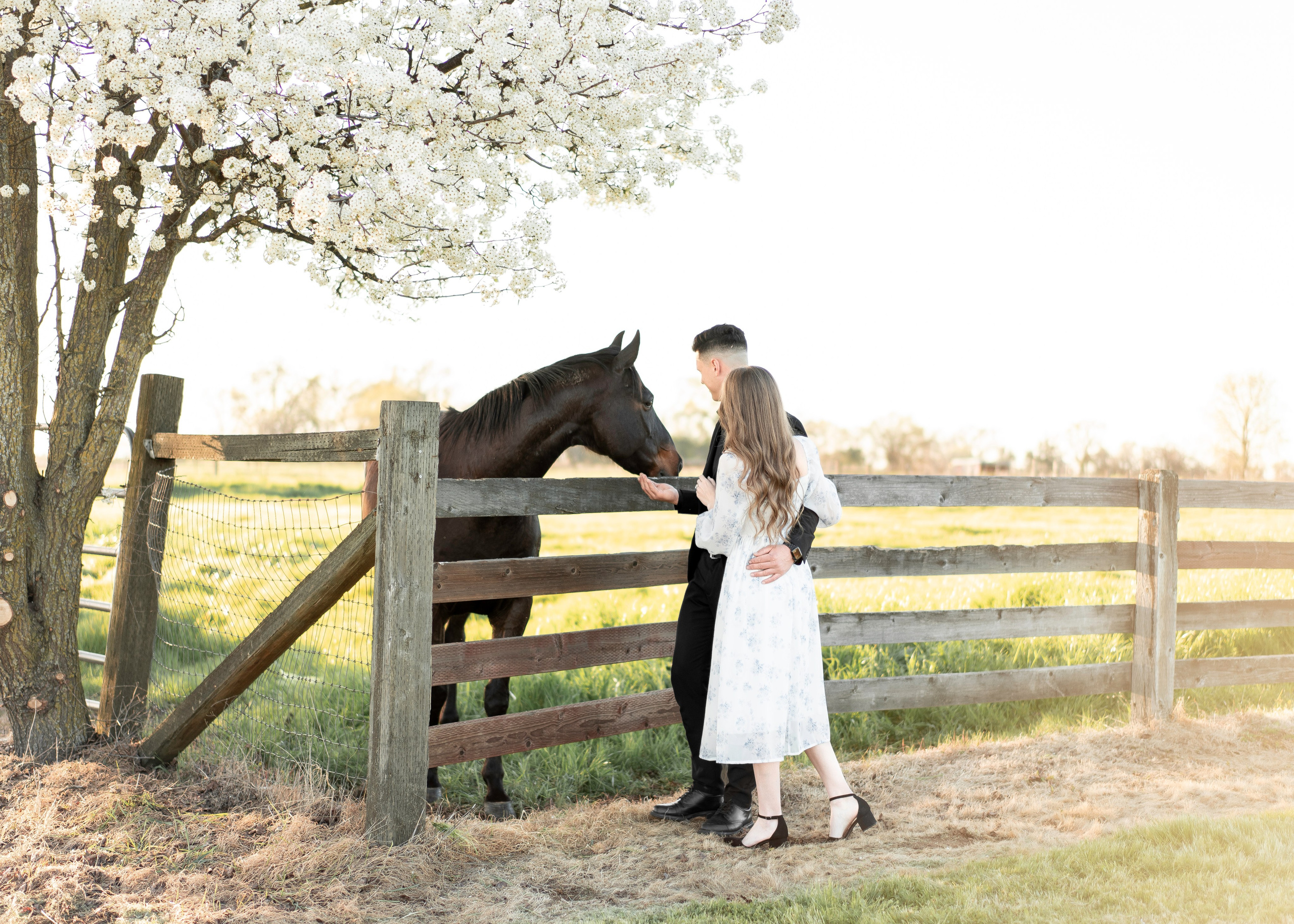 Artem & Lida. Family photographer in Sacramento | Sofia Pavenko