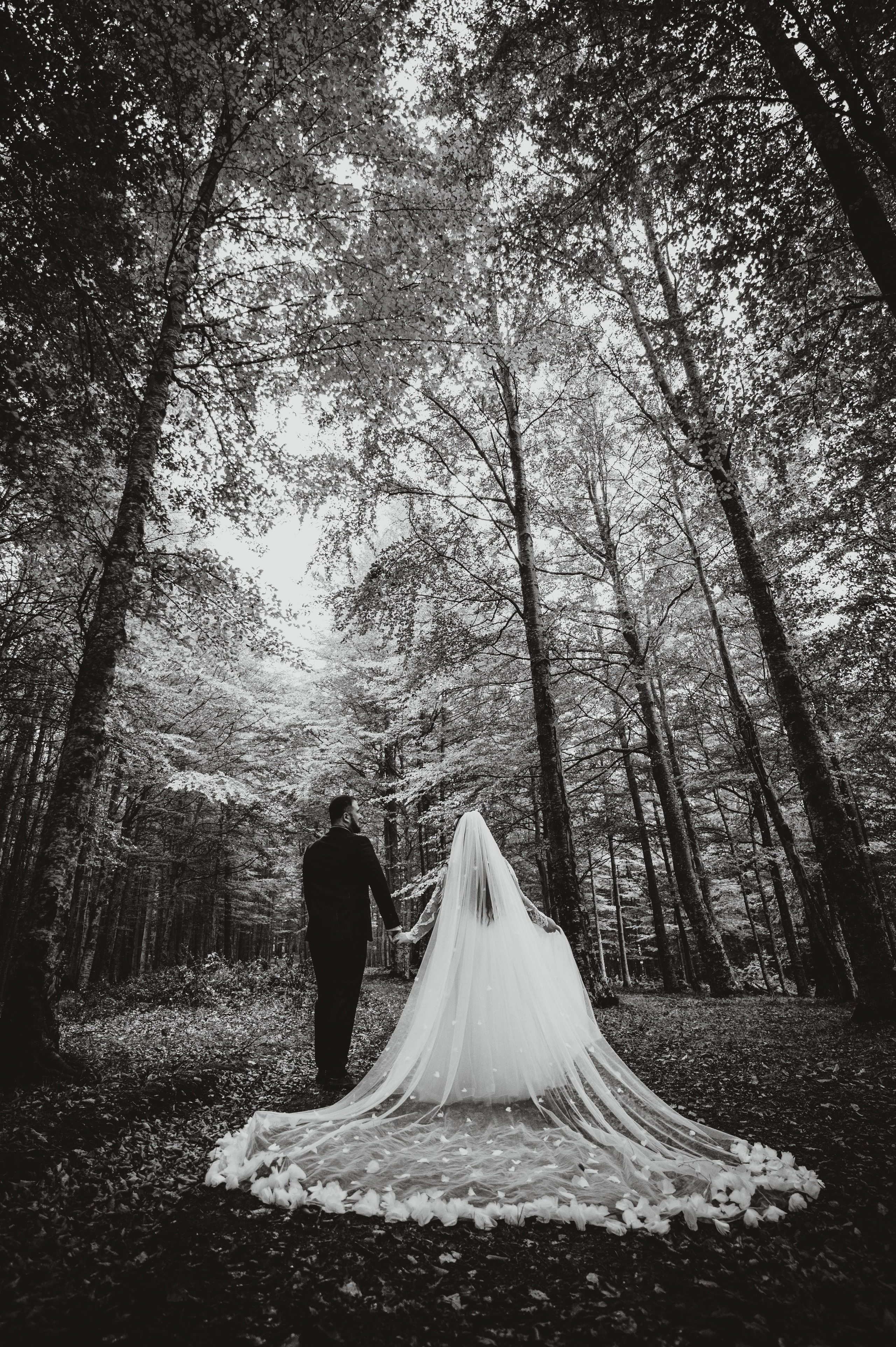 Catalina & Catalin. The Catalins Events — Wedding Photography & Videography