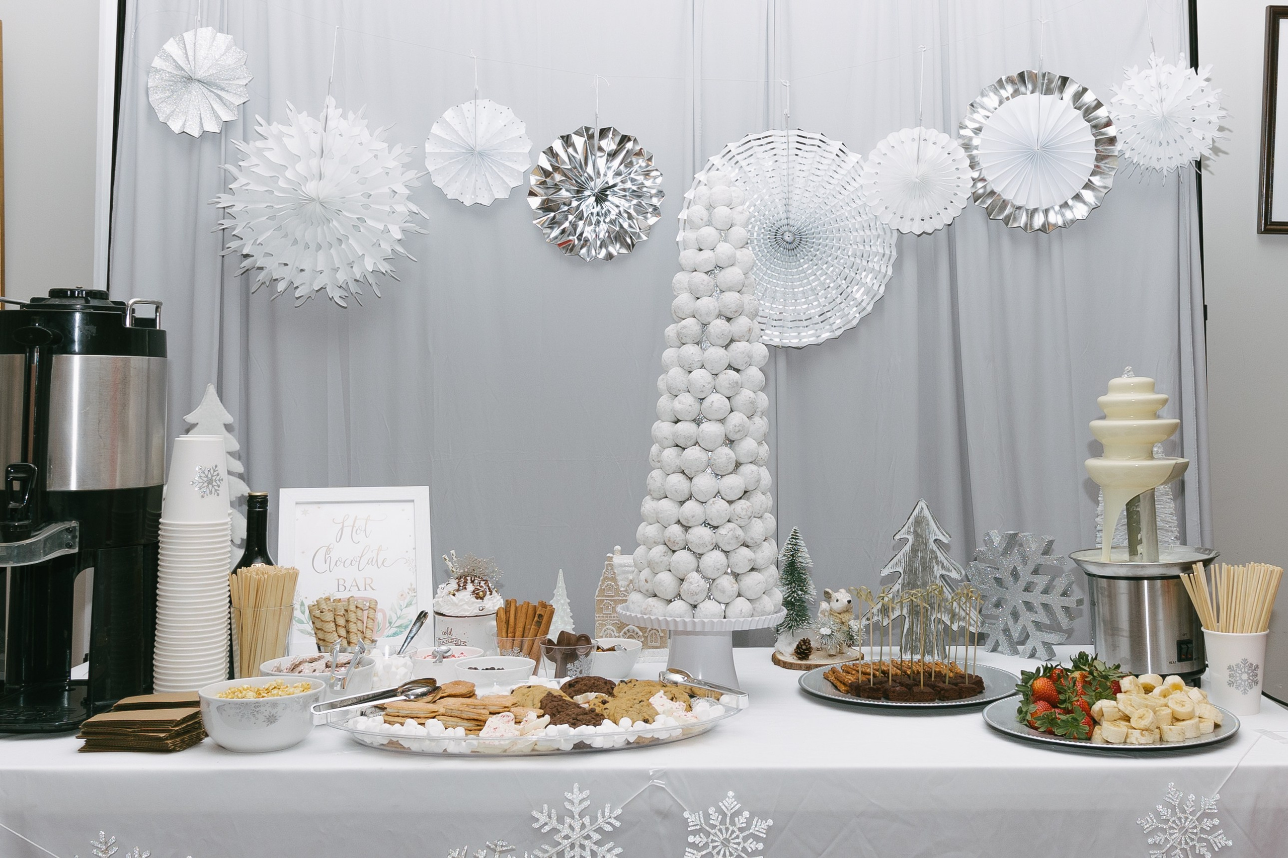 Twins Birthday. Sara Eulalia | Virginia Photographer