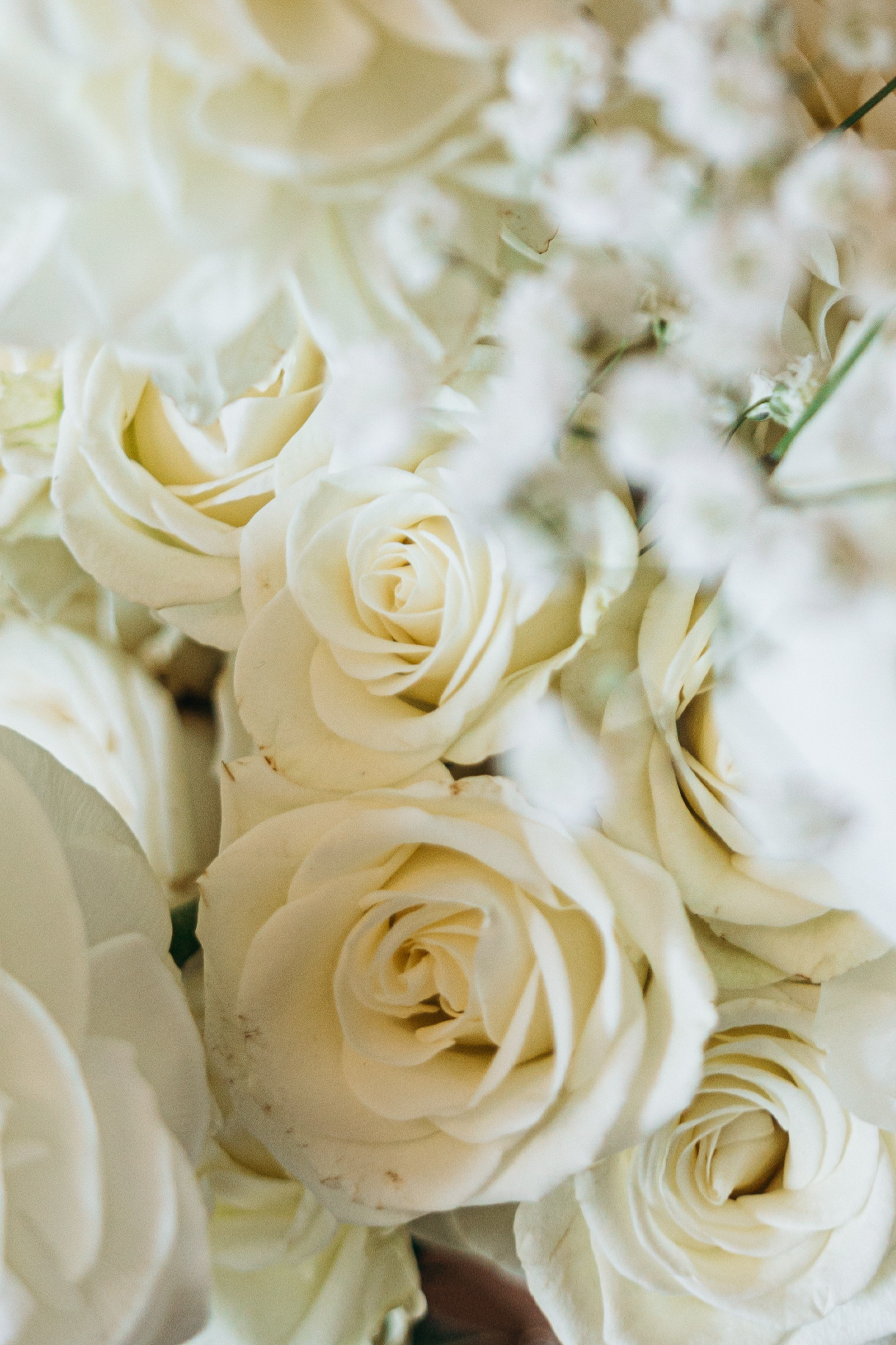 Stephanie&Bryce. Wedding and family photographer San Diego