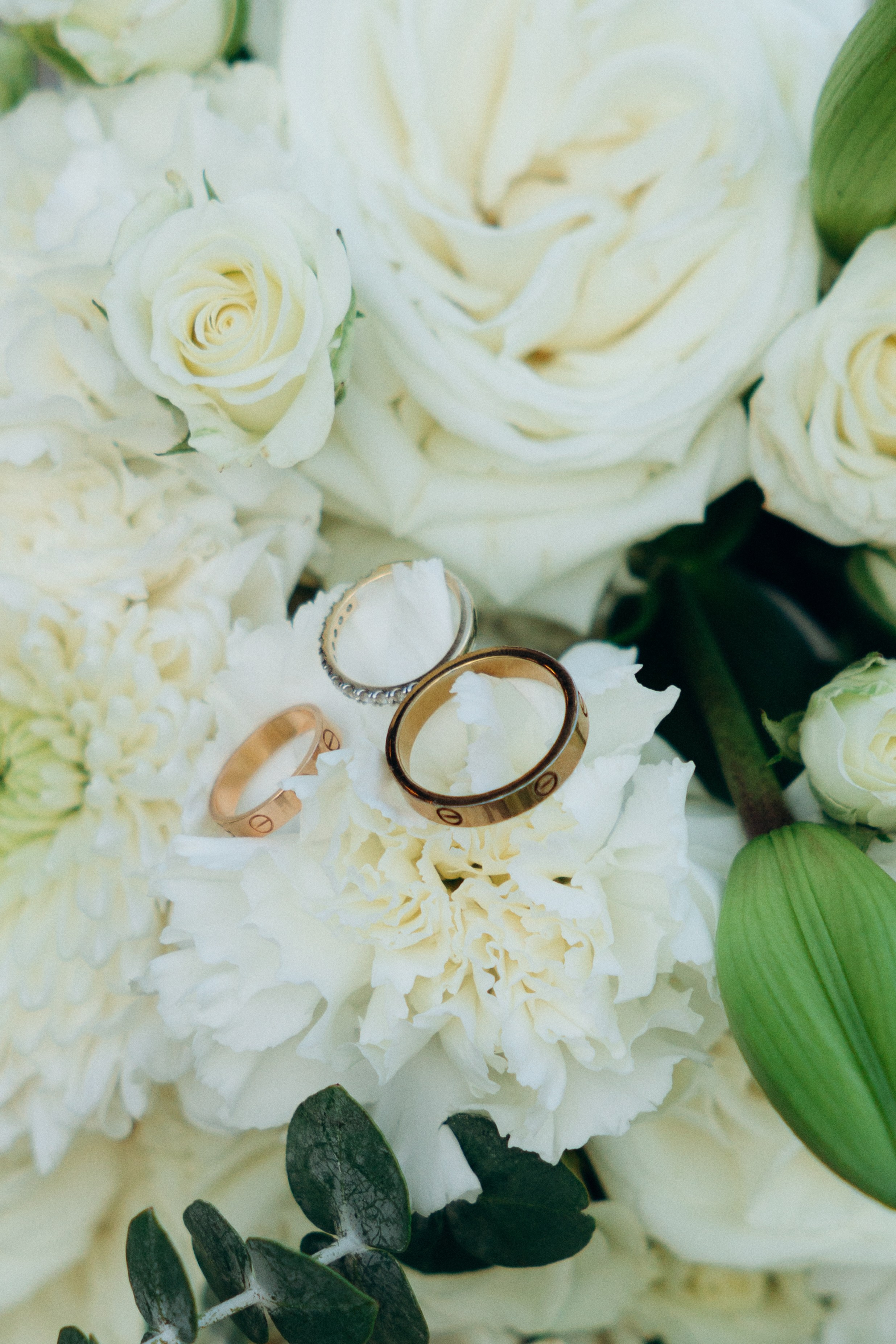 *. Wedding and family photographer San Diego