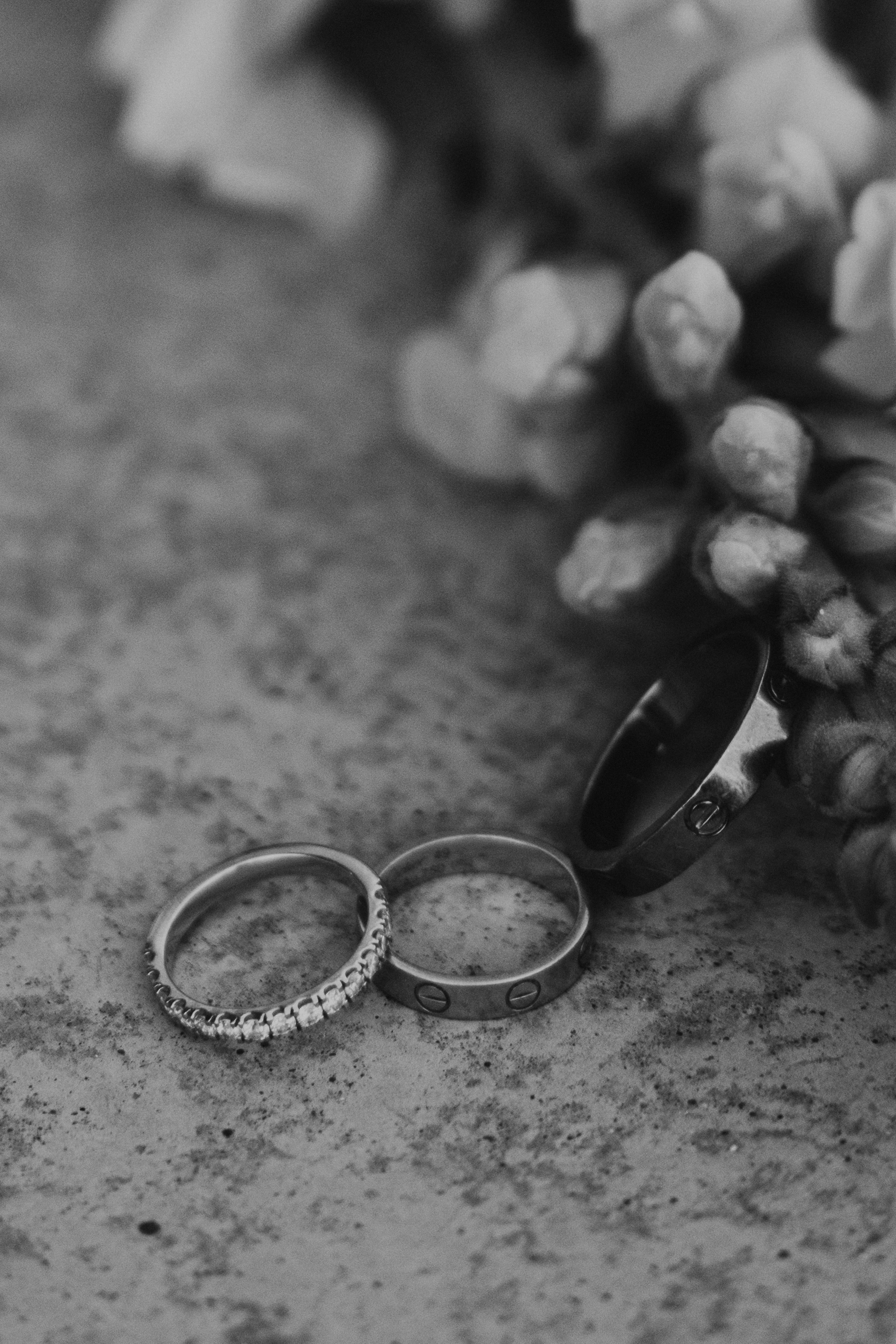 *. Wedding and family photographer San Diego