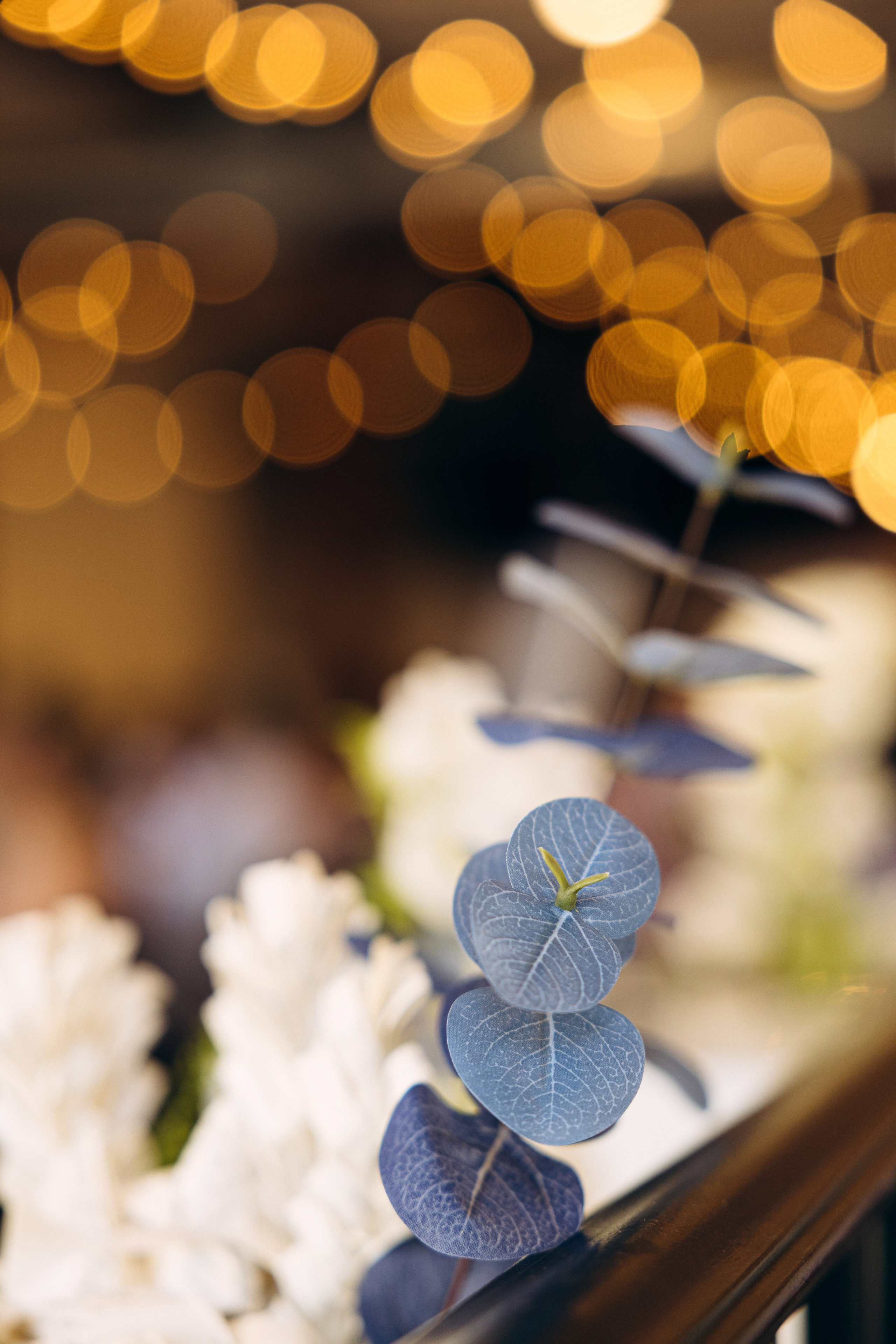 Braydan&Samantha. Wedding and family photographer San Diego