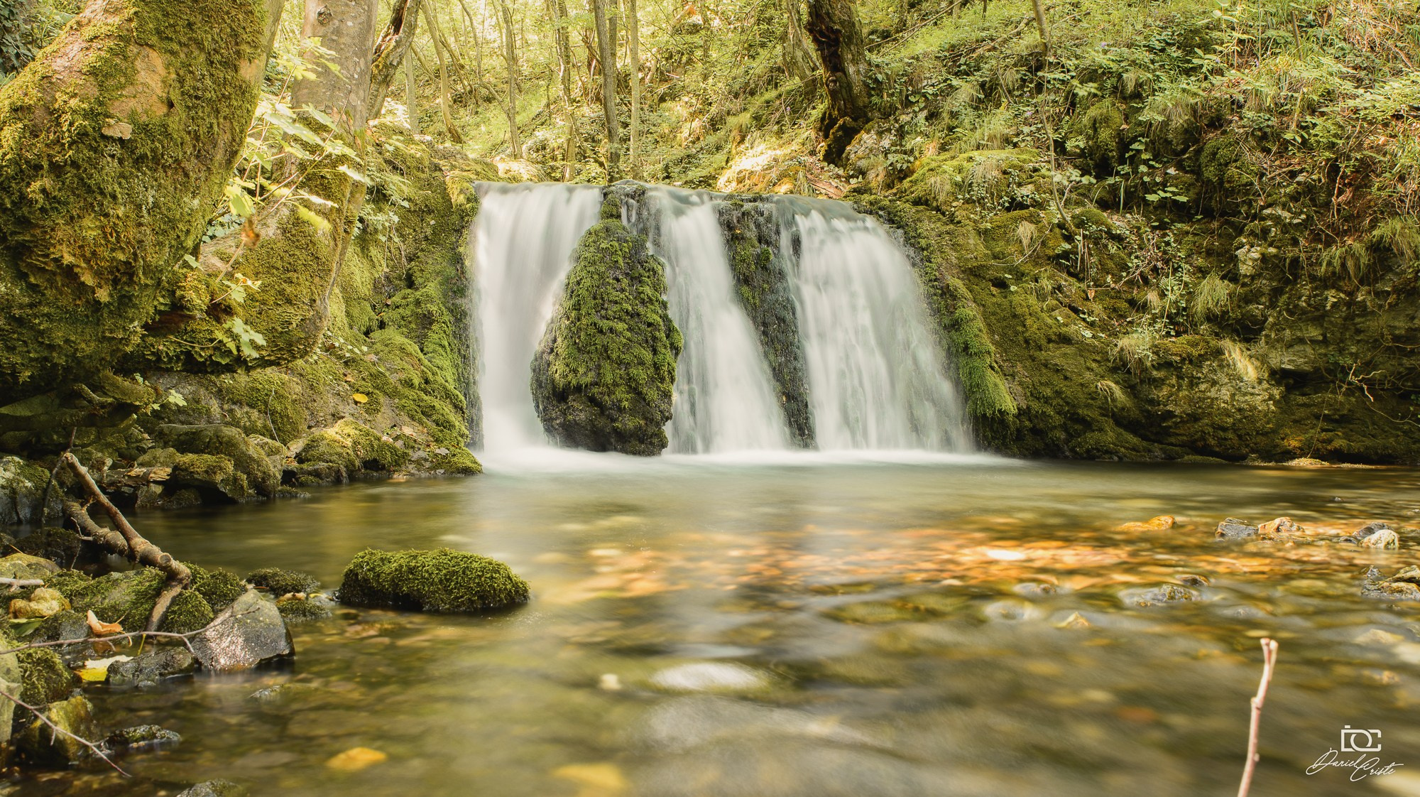 Peisaj /natura. Daniel Criste Fotograf