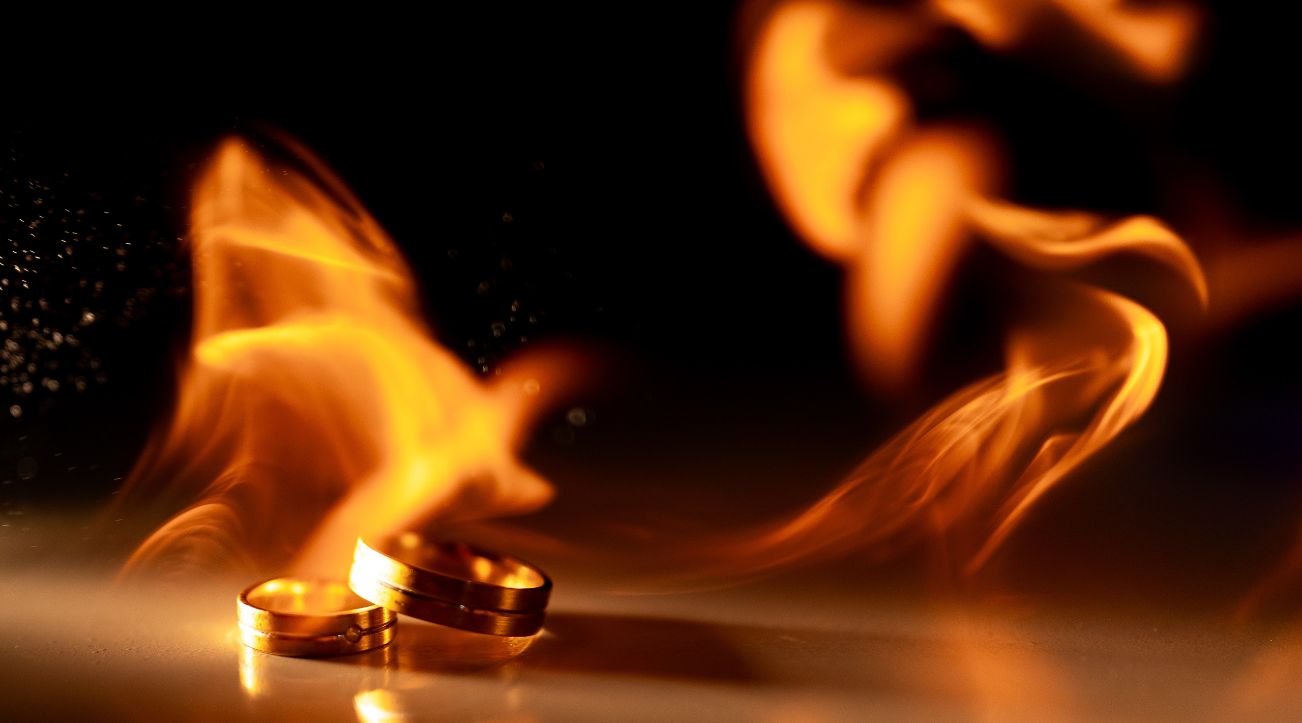 Portofoliu Fotograf Nunta Tulcea — Selectii | Codux. Codux — Fotograf Tulcea | Fotograf Evenimente