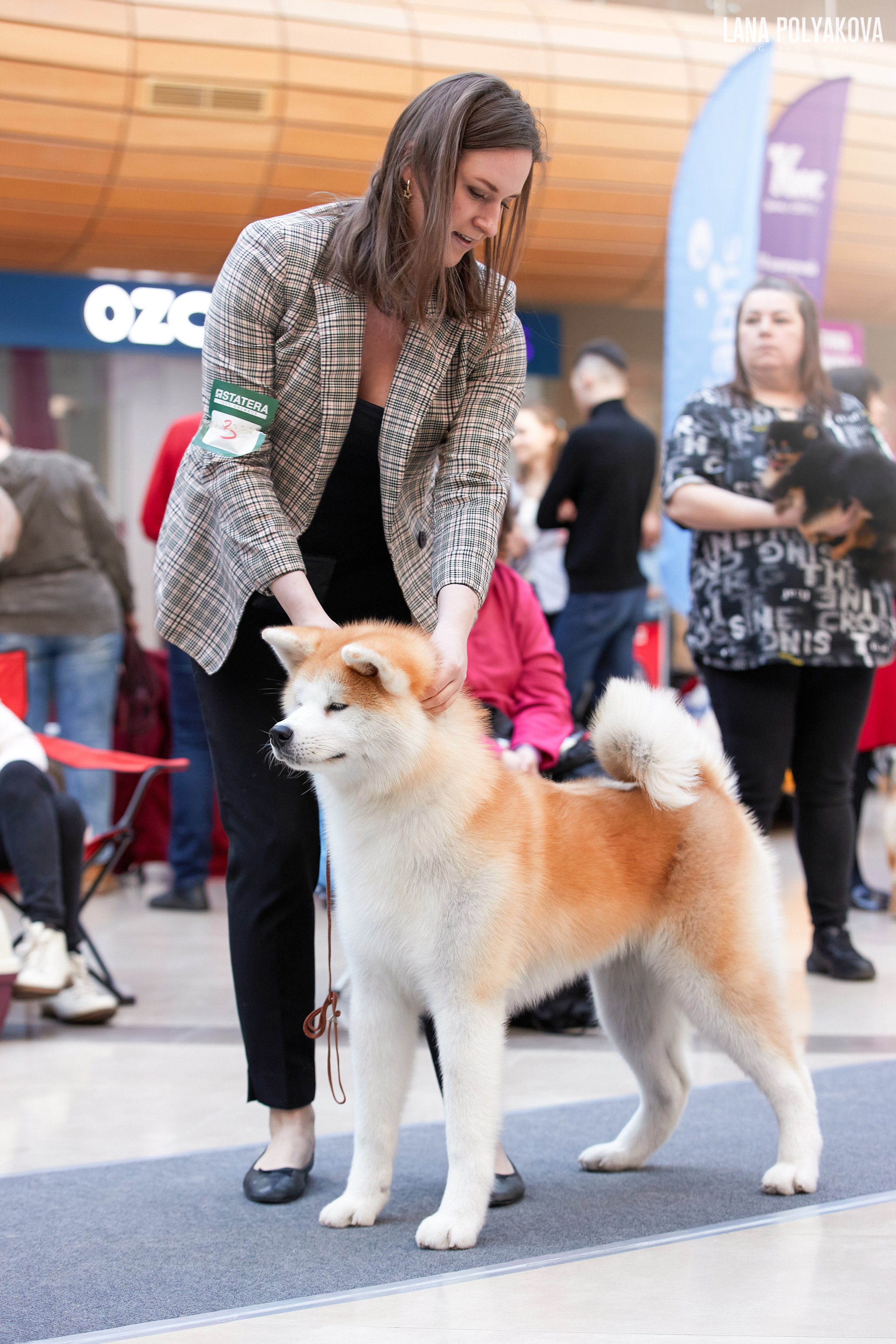 Кинологический клуб РКФ РФСС СЕНСАЦИЯ