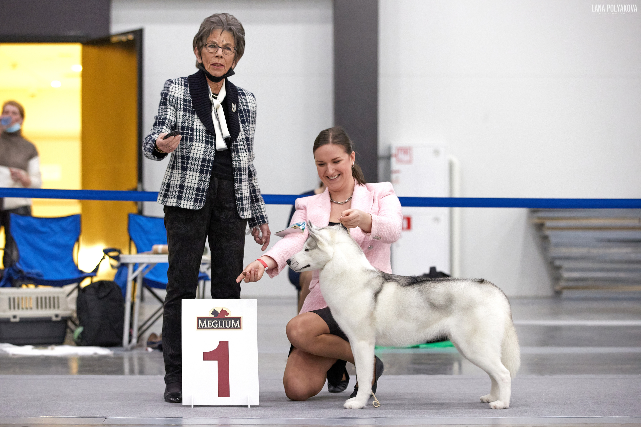Кинологический клуб РКФ РФСС СЕНСАЦИЯ