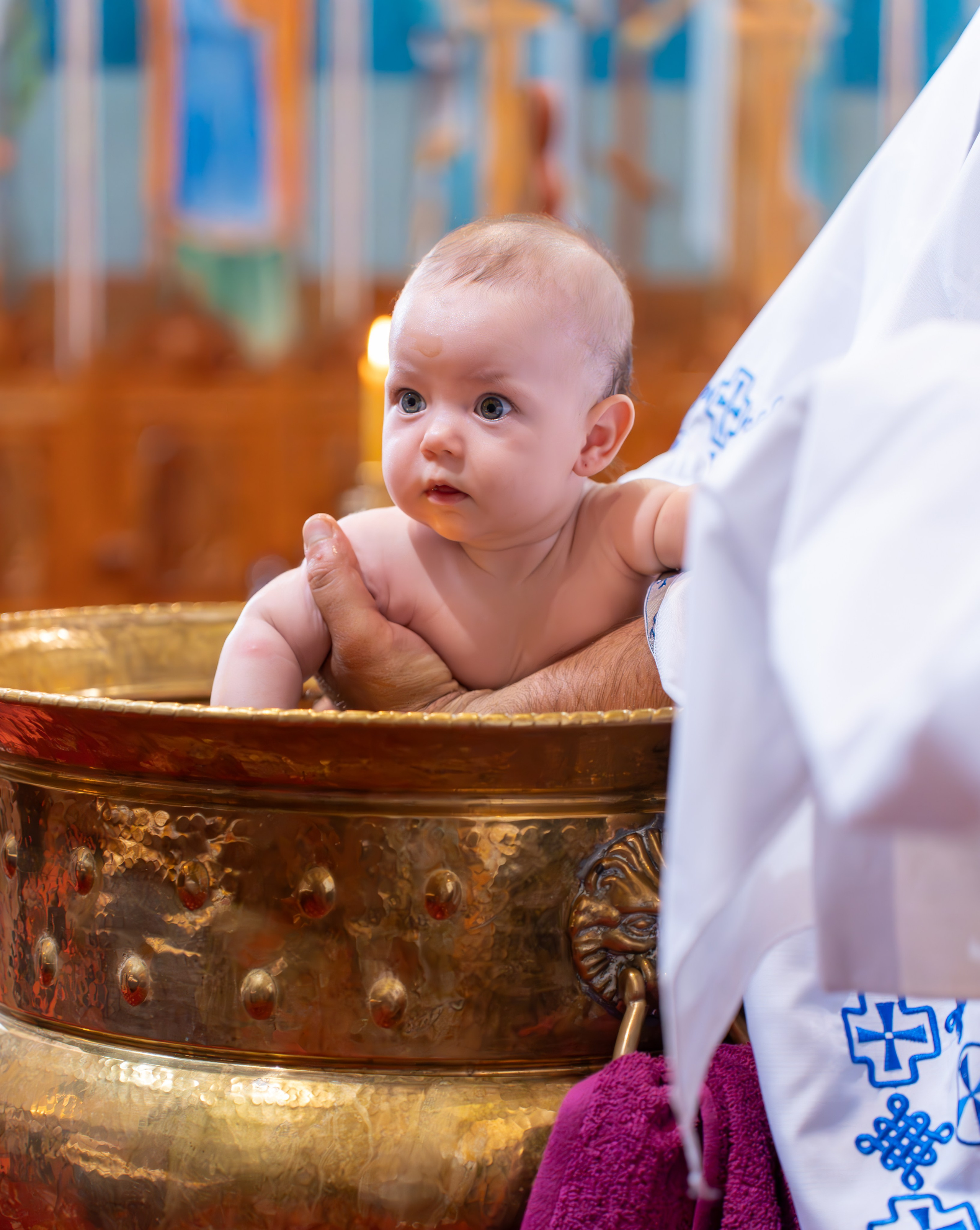 ✨ Portofoliu Botez ✨. Murgeanulucian