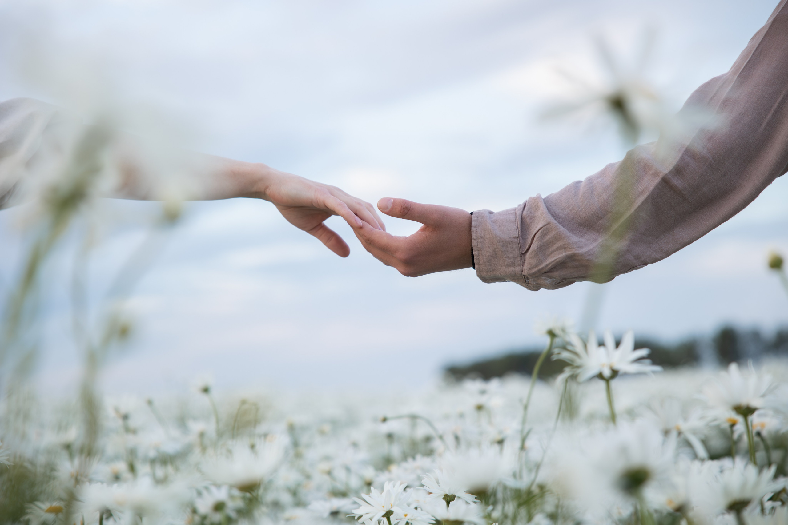 V & V. Portrait and Family Photographer in Netherlands