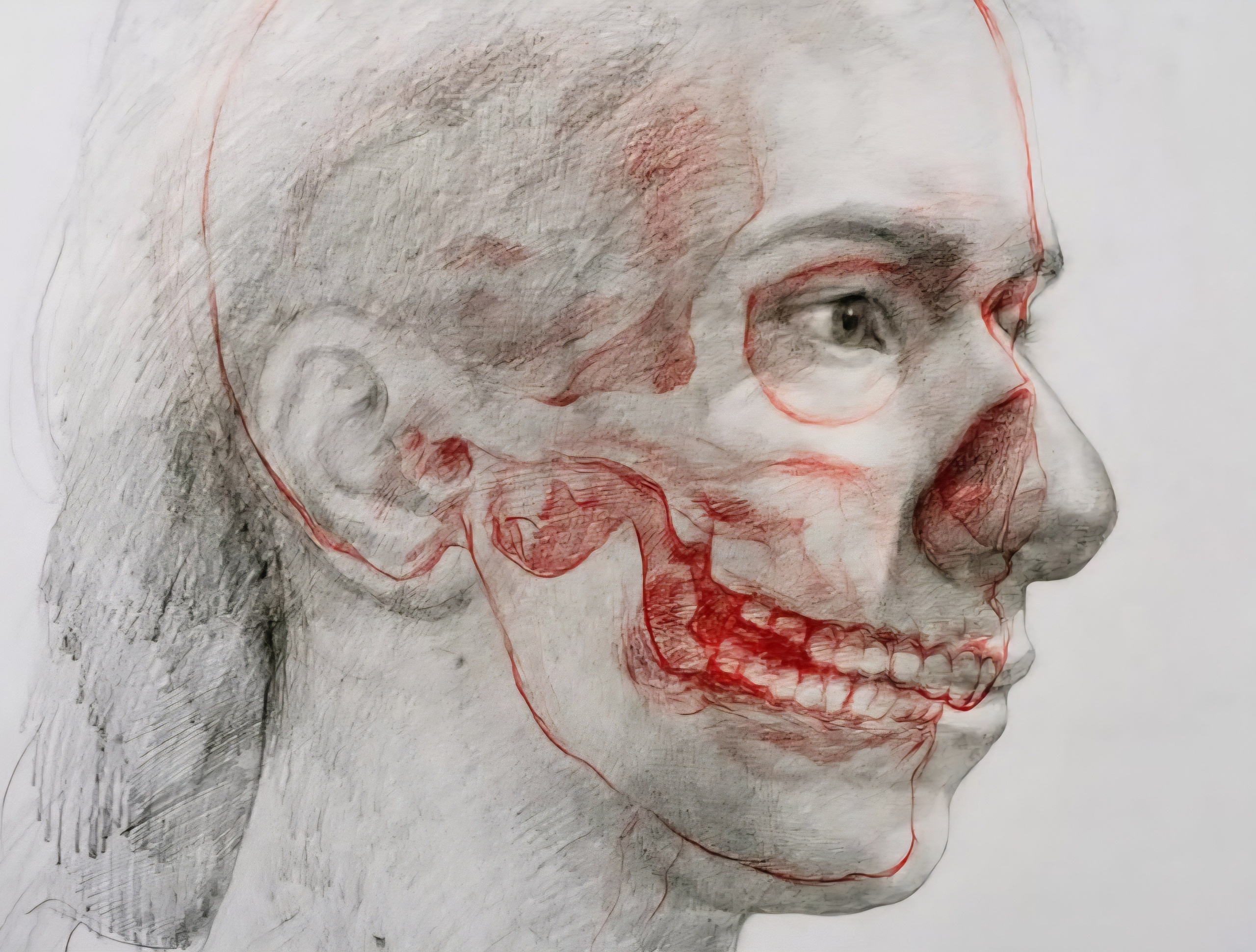 NEWS. Barbara Cabral