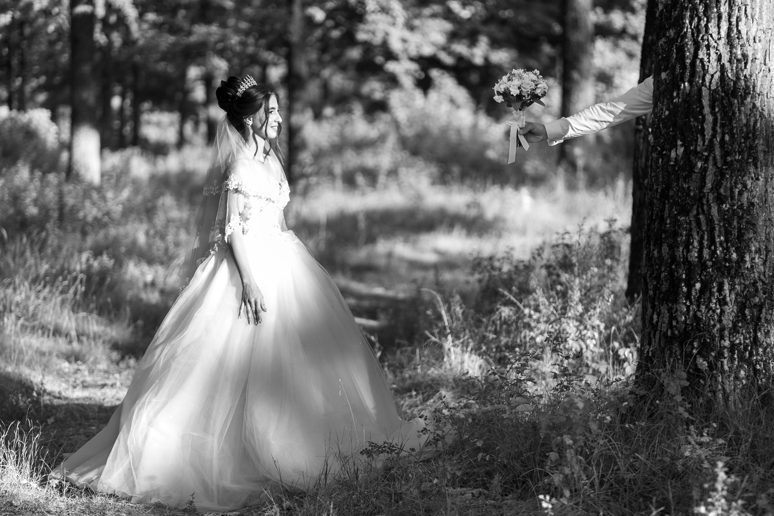 Adina & Remus. Fotograf evenimente, fotograf nunta, fotograf botez