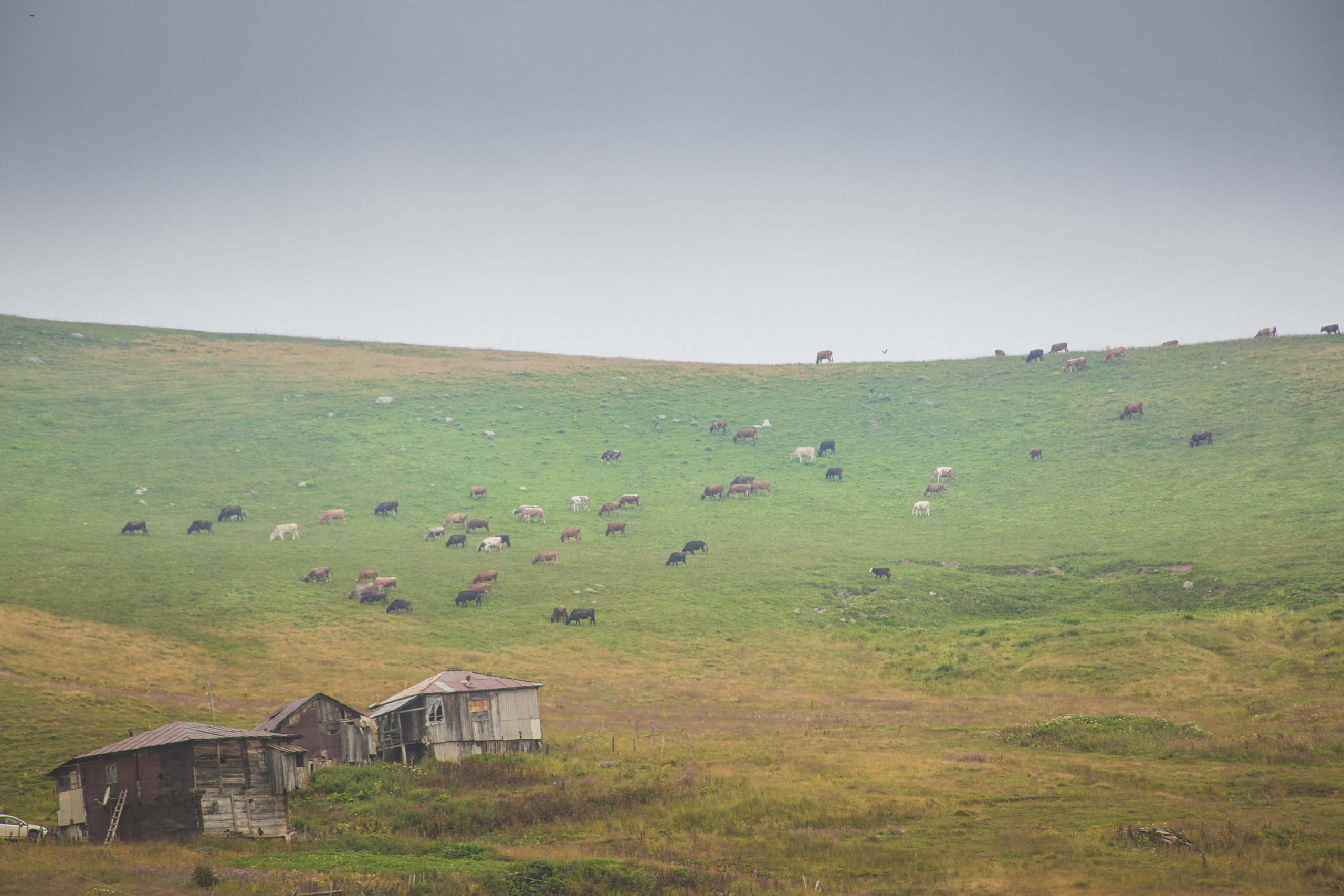 Urban. PHOTOSTORYNIKA