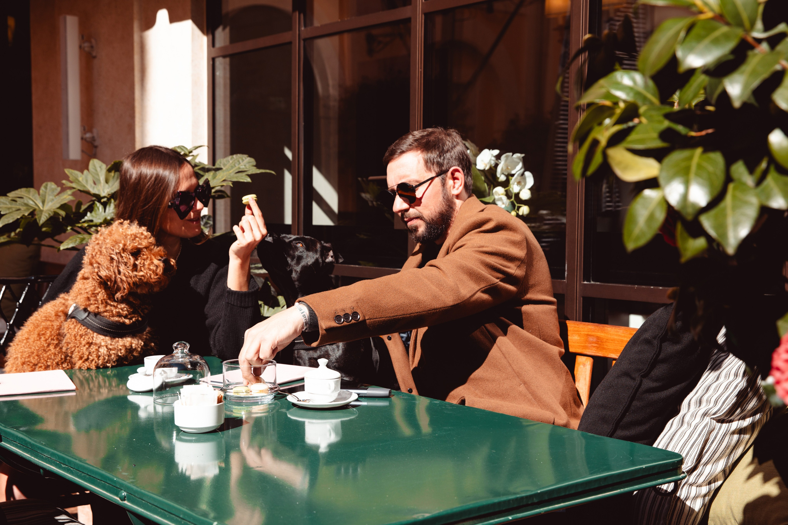 PALAZZO RIPETTA. Elizaveta Razumova: Cinematic Photography for Love, Weddings, Portraits & Brands