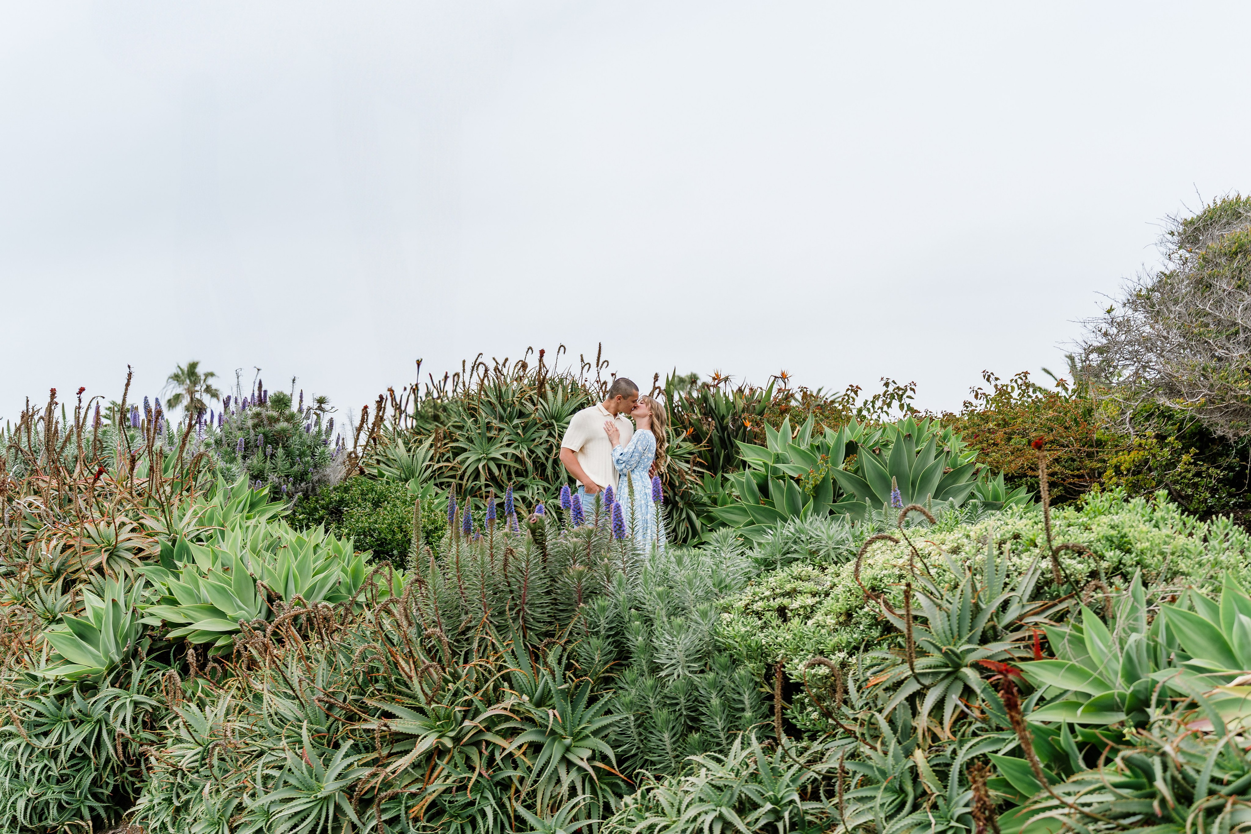 Travis & Davin Engagement. Pixel Pie — Wedding Photography & Videography