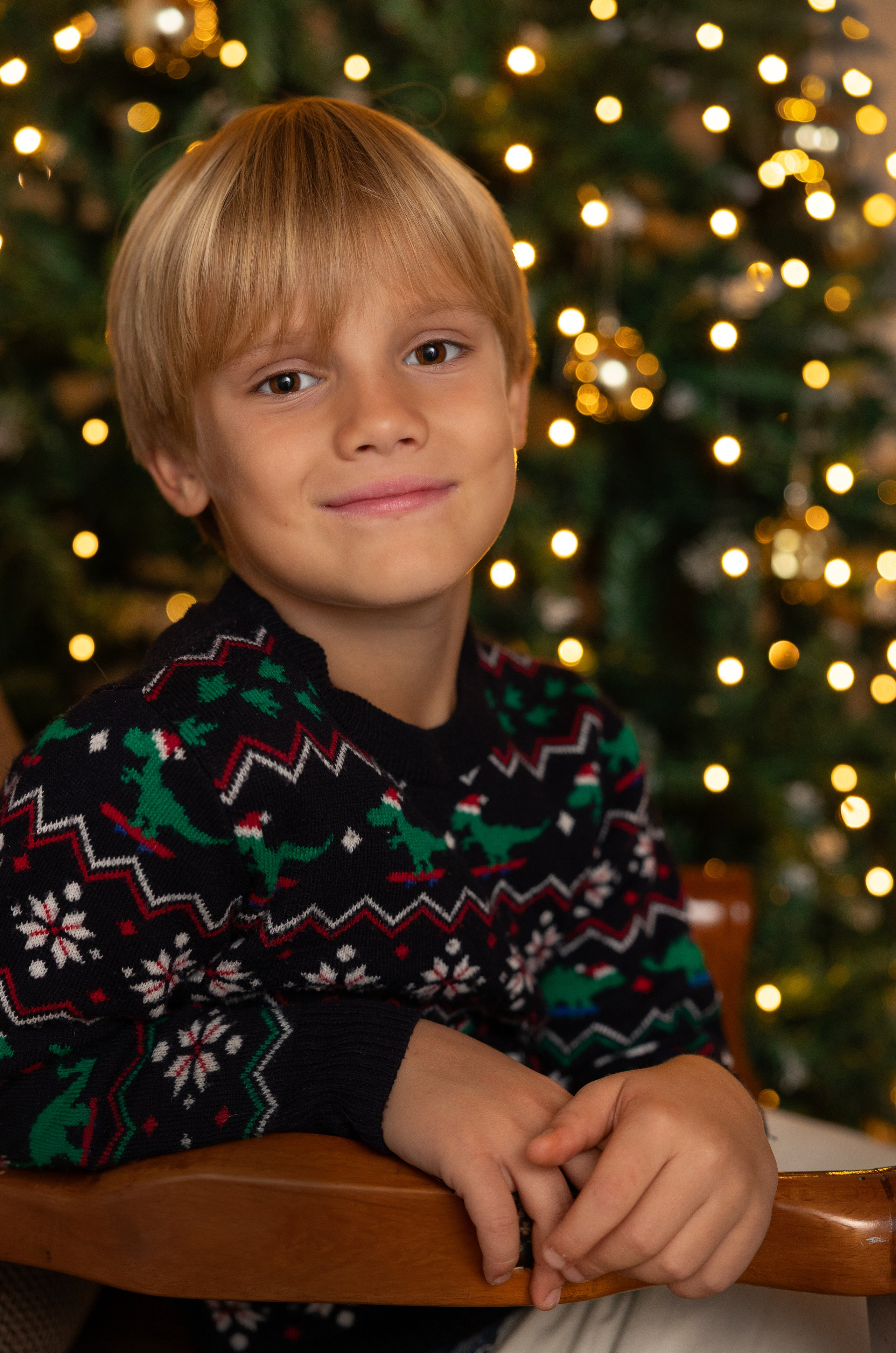 Natale 2025. Photographer, Videomaker, Drone, Padova, Venice, Italy, Elena Radchenko